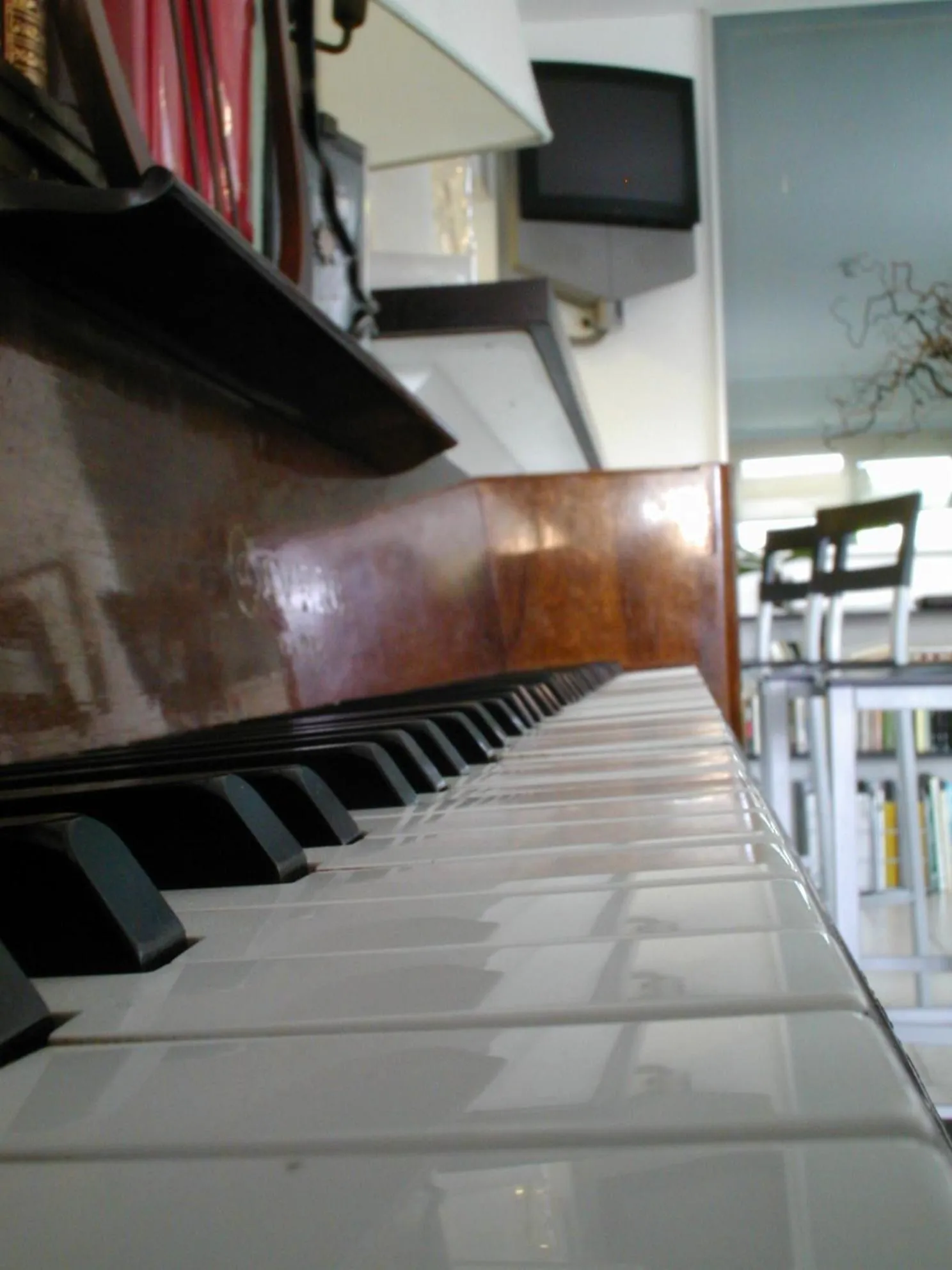 Decorative detail in Hotel L'Approdo