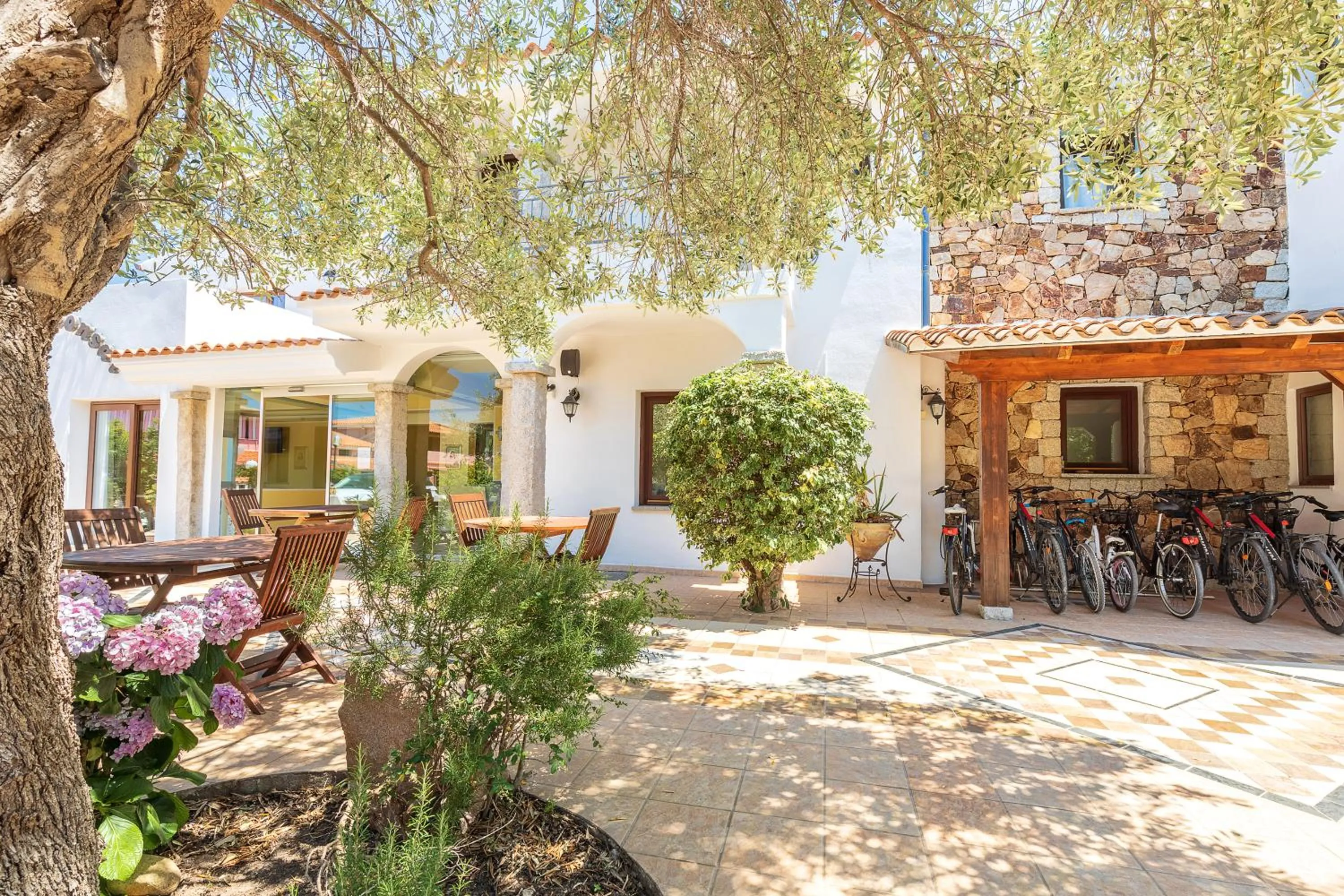Area and facilities in Hotel Bonsai