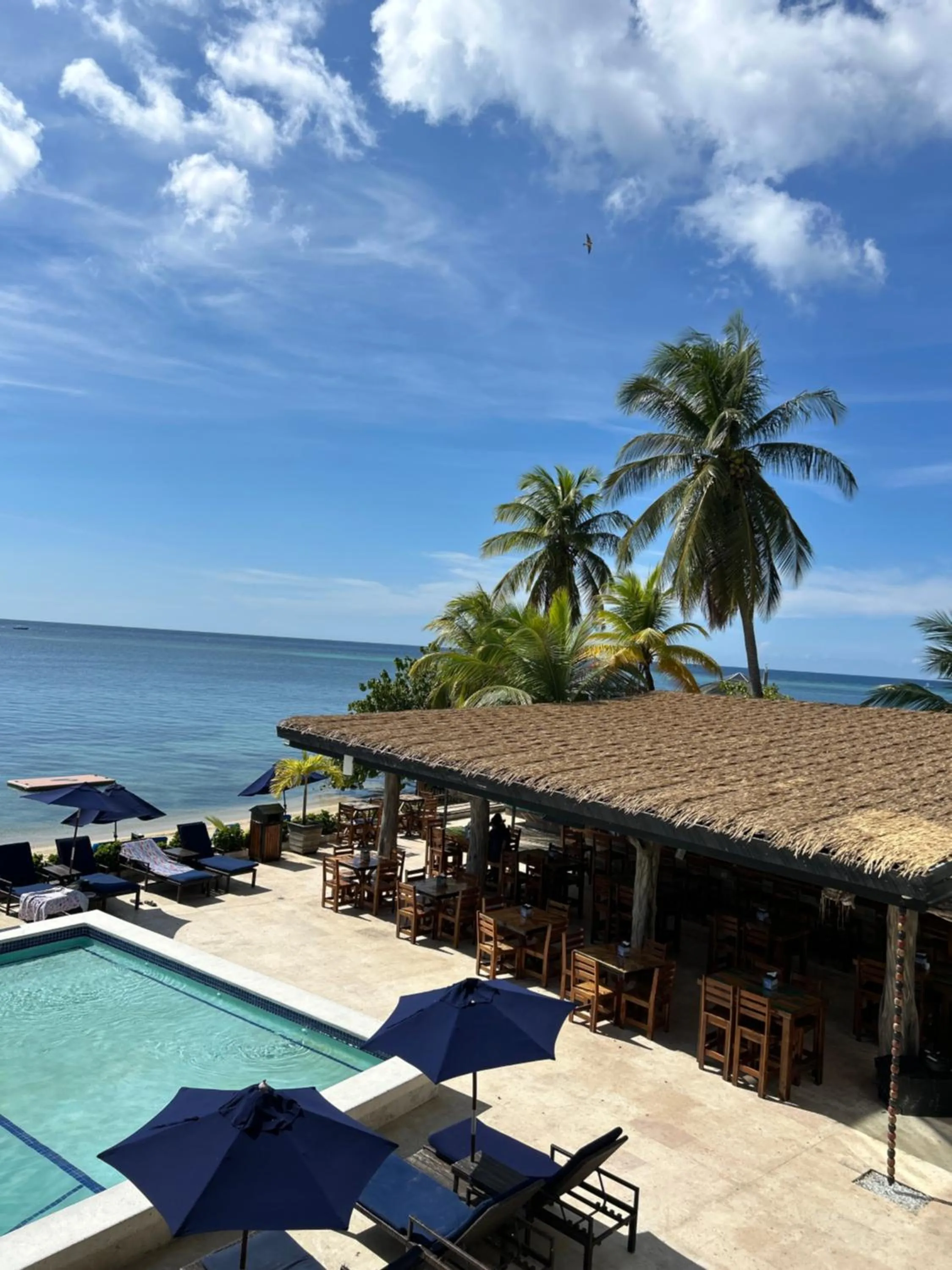 Brisas Del Mar Beach + Dive Resort