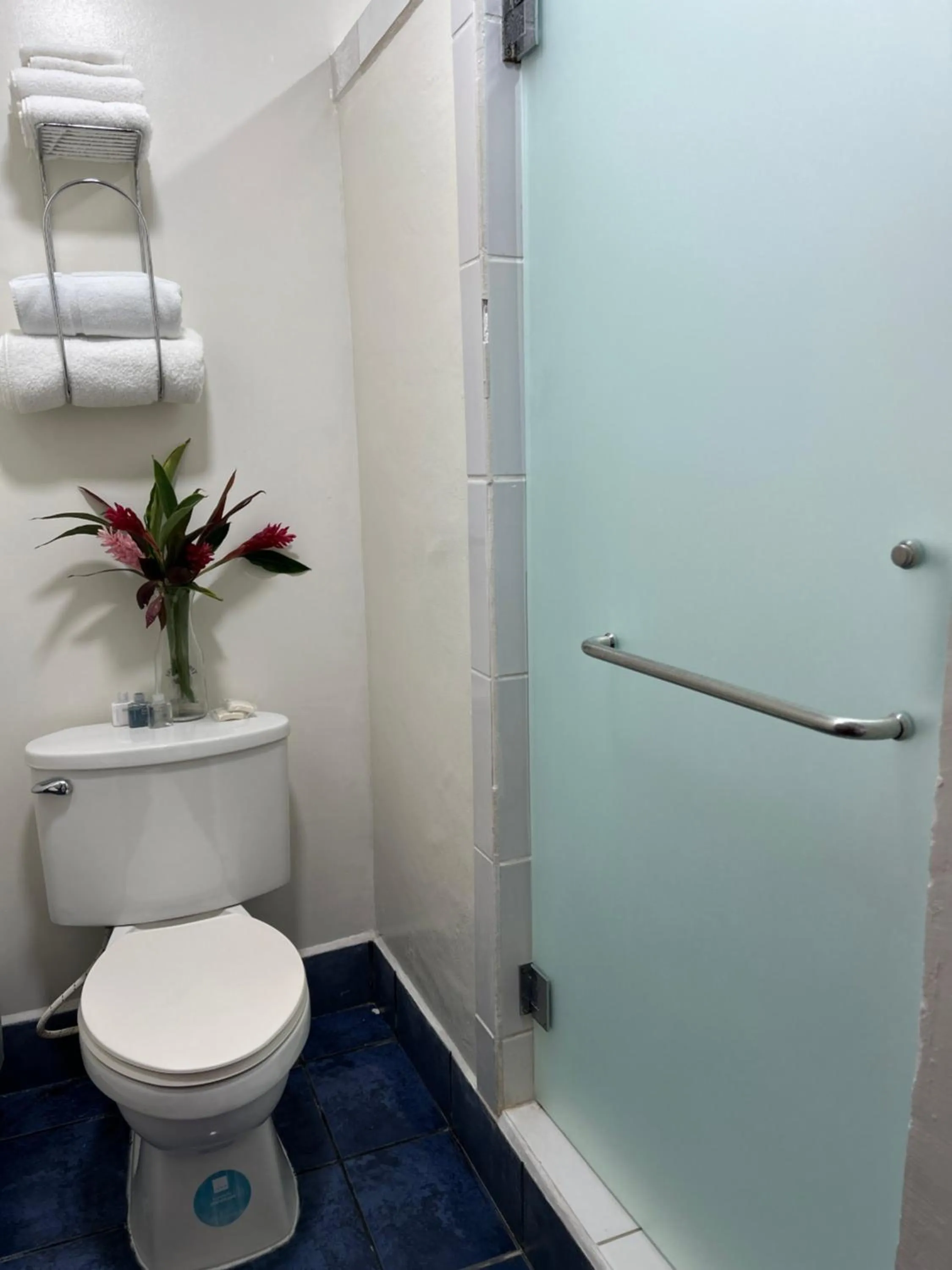 Brisas Del Mar Beach + Dive Resort