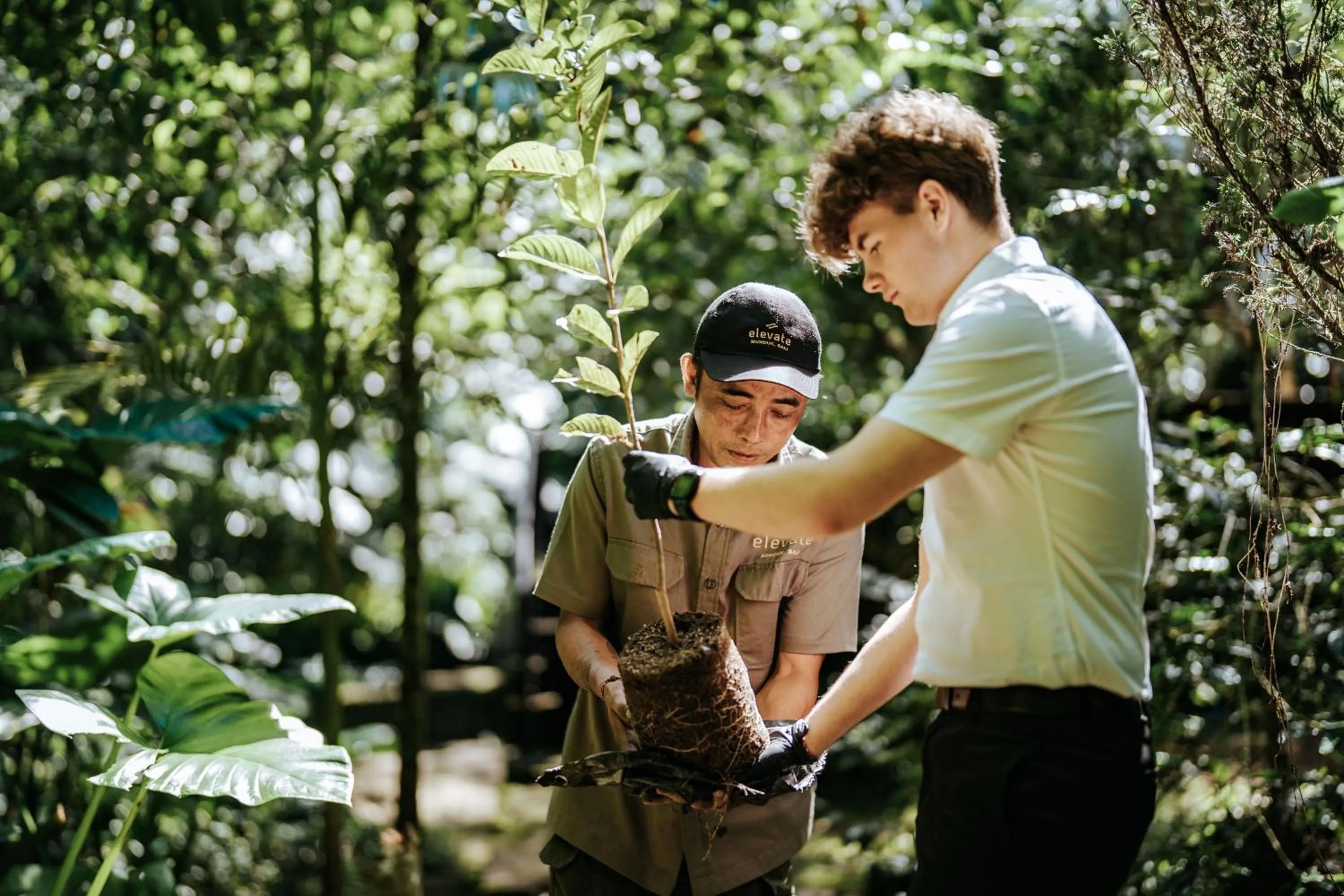 Activities in Elevate Bali