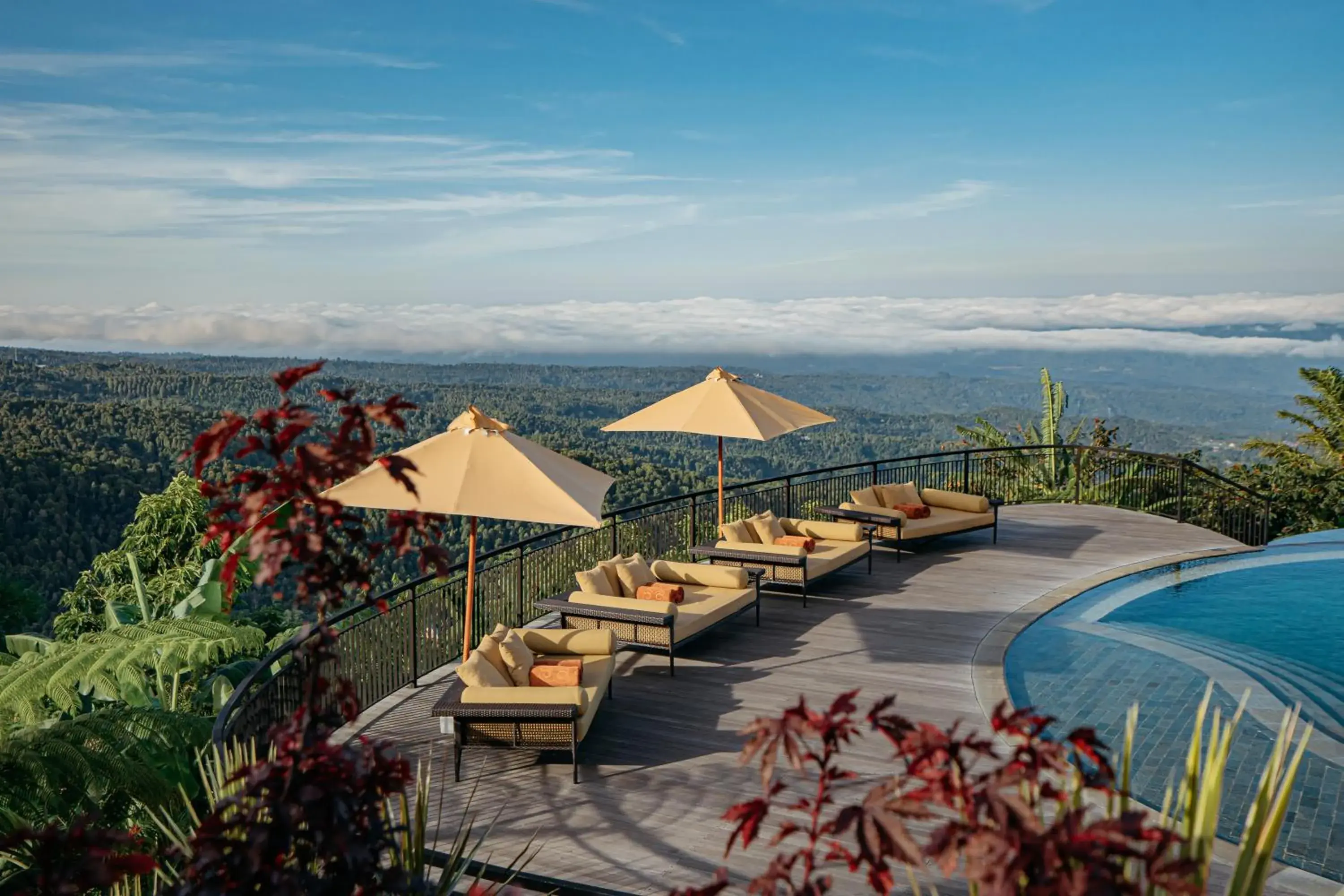 Restaurant/places to eat in Elevate Bali Restaurant/places to eat in Elevate Bali