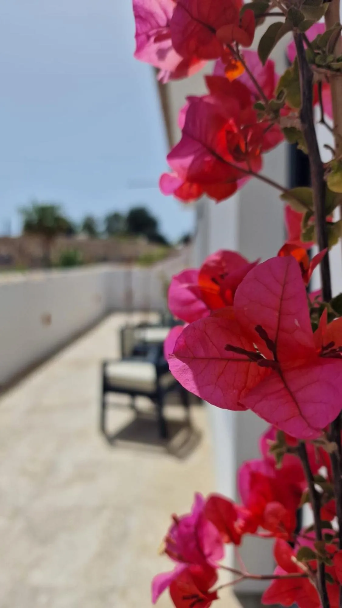 Balcony/Terrace in OPUNTIA Hotel Boutique