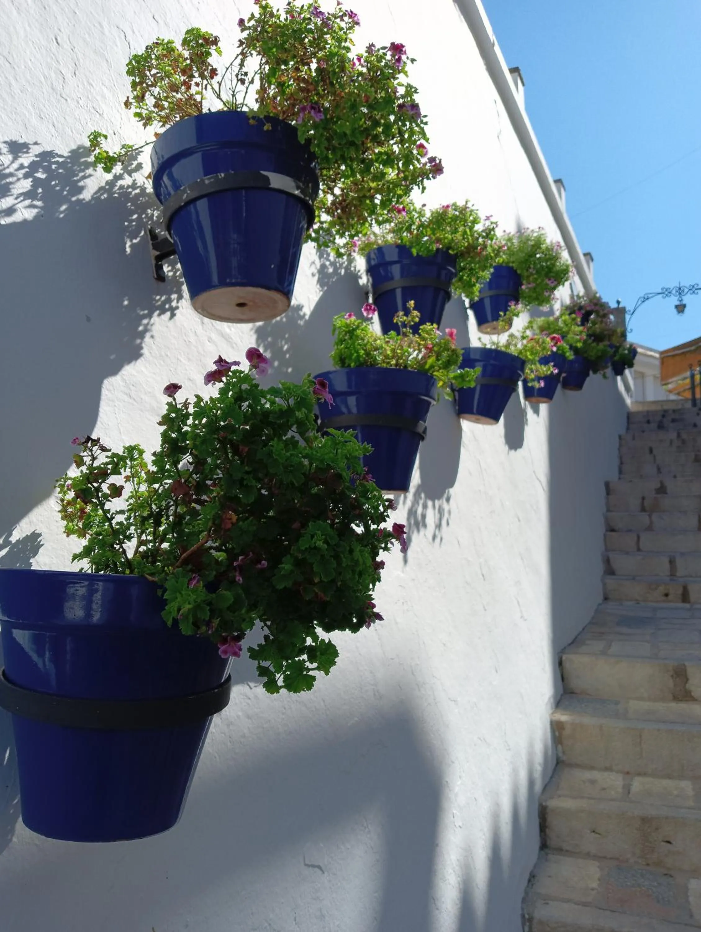 Other in OPUNTIA Hotel Boutique