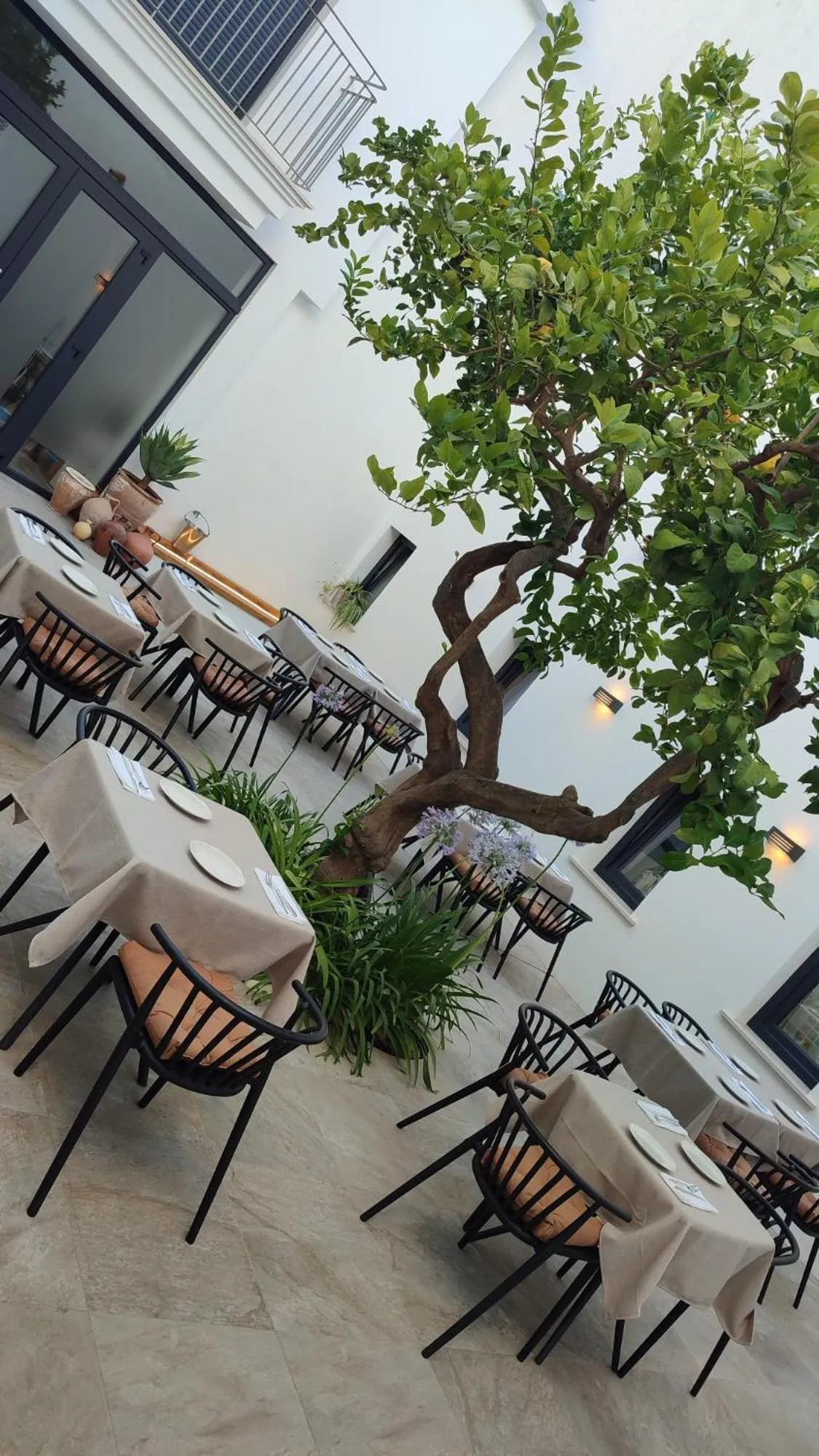 Patio in OPUNTIA Hotel Boutique