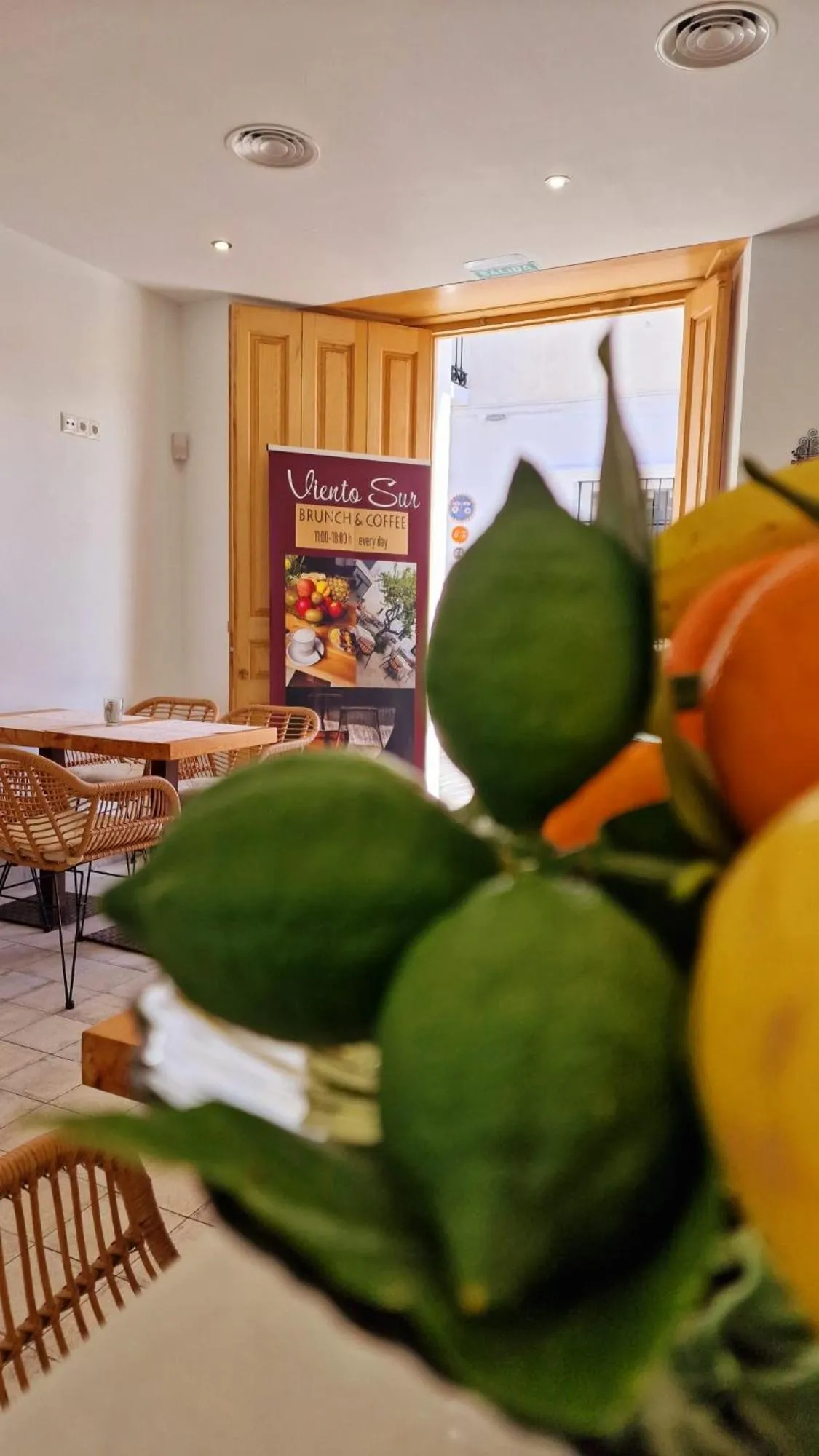 Decorative detail in OPUNTIA Hotel Boutique