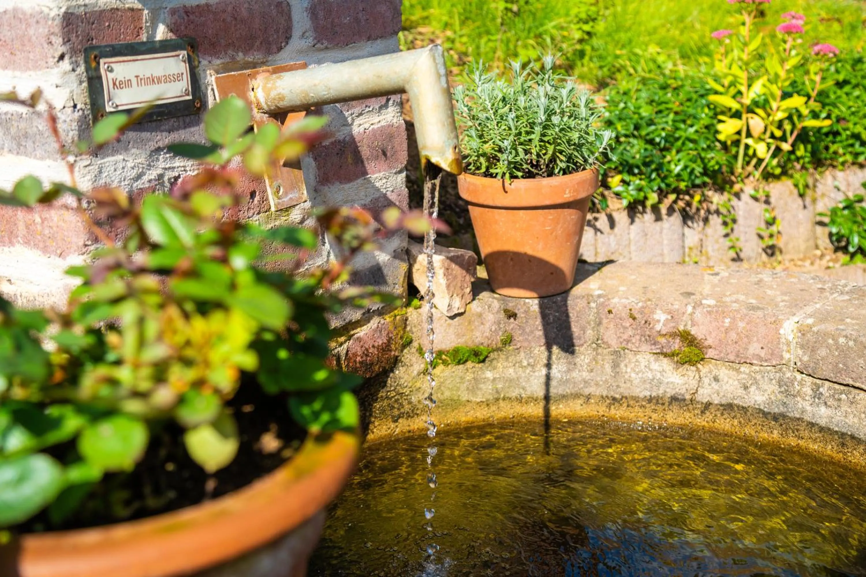 Garden in Waldschlösschen Brotterode