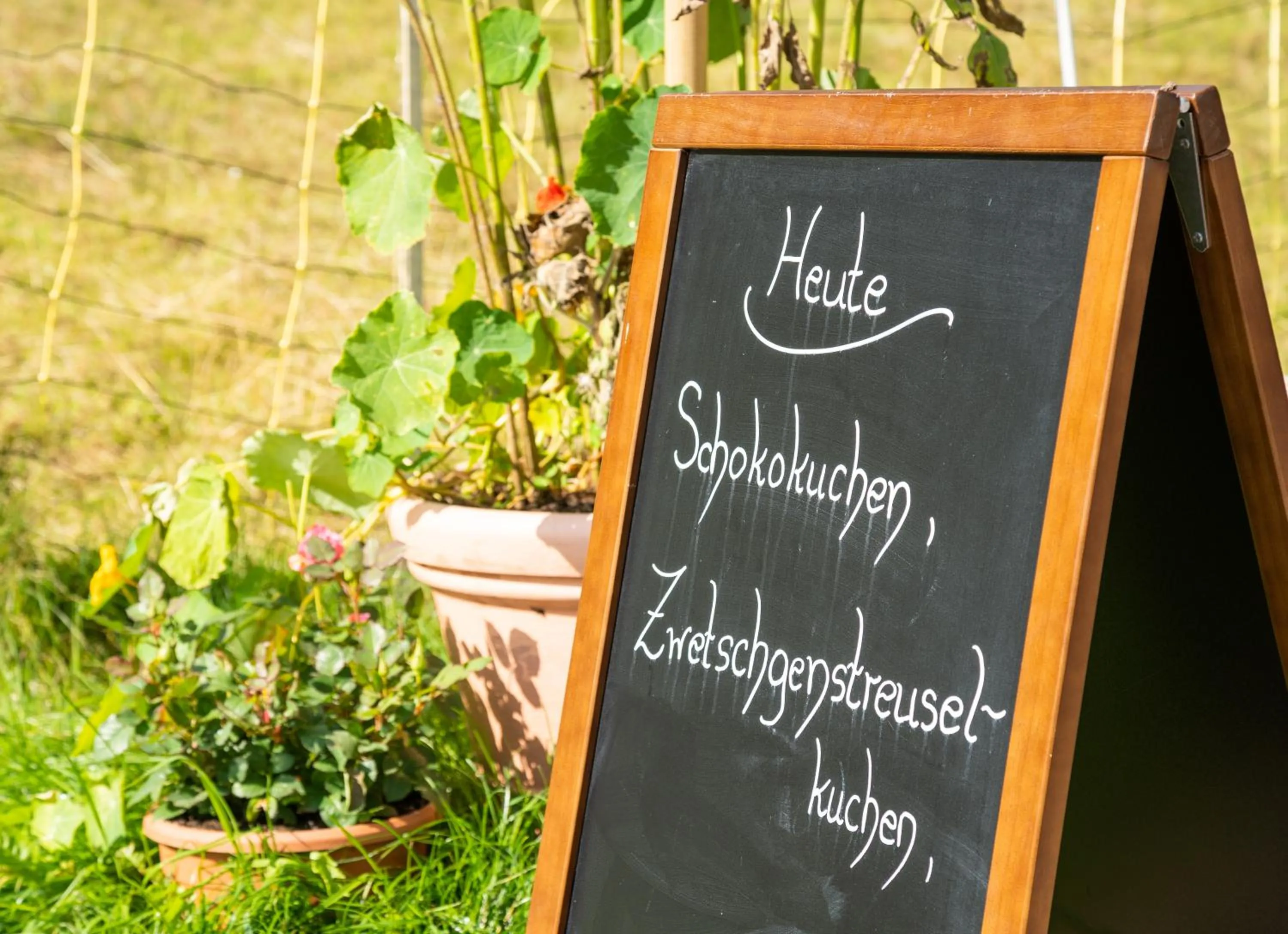 Restaurant/places to eat in Waldschlösschen Brotterode