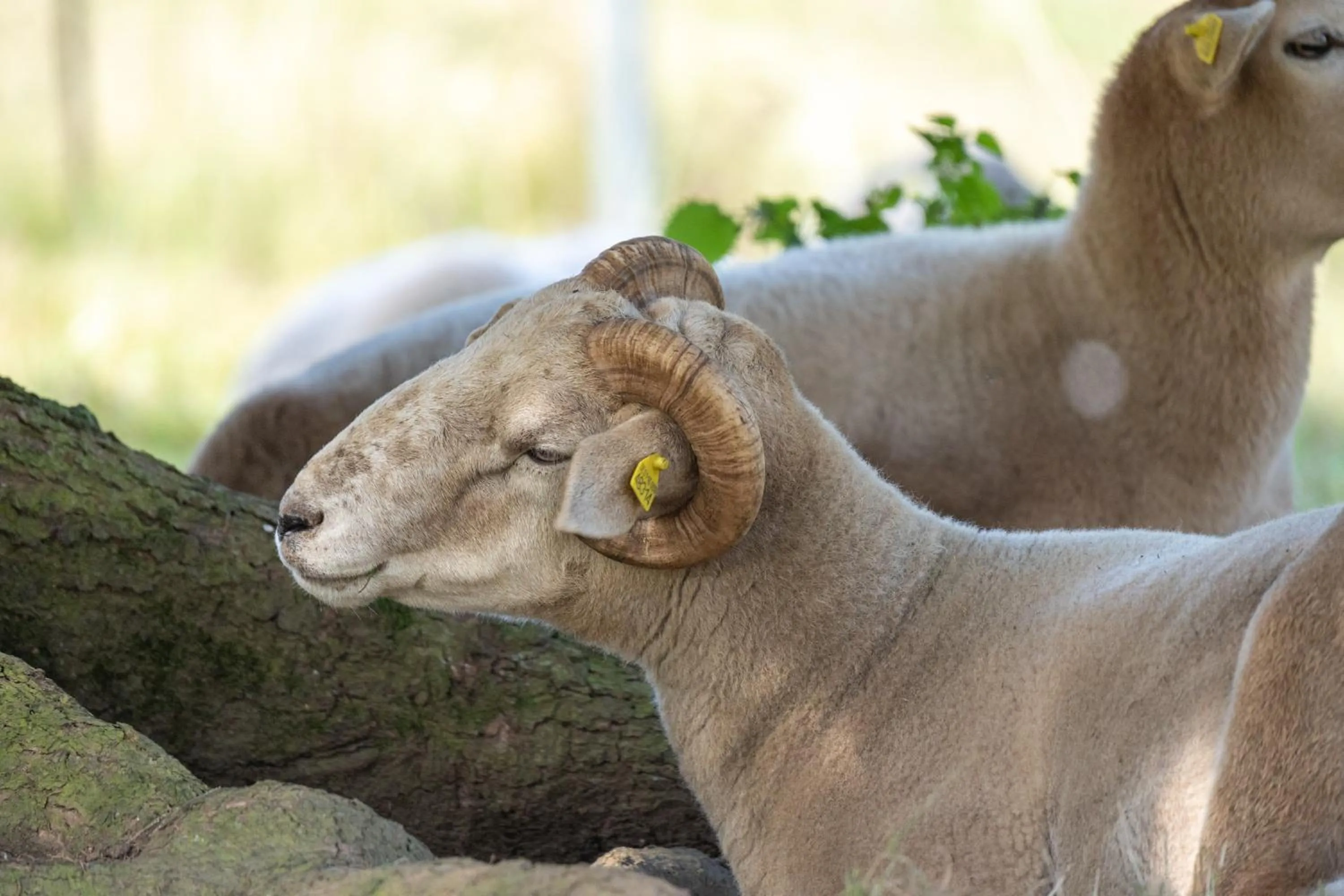 Hiking in Waldschlösschen Brotterode