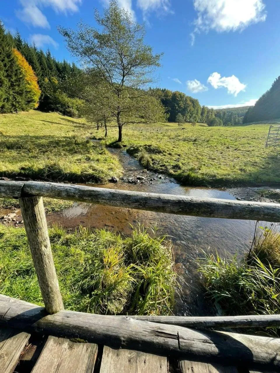 Hiking in Waldschlösschen Brotterode