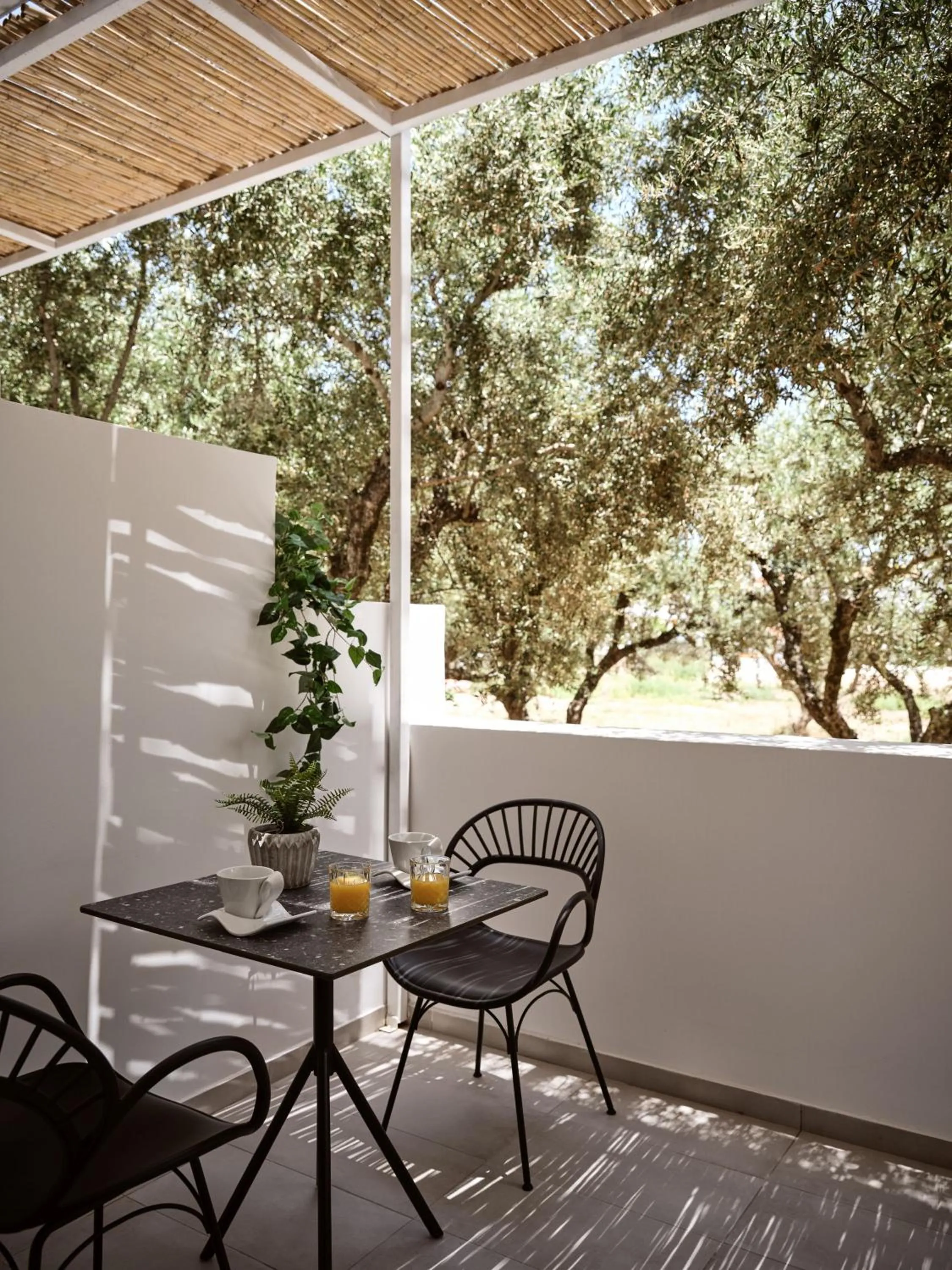 Balcony/Terrace in Sanpiero Island