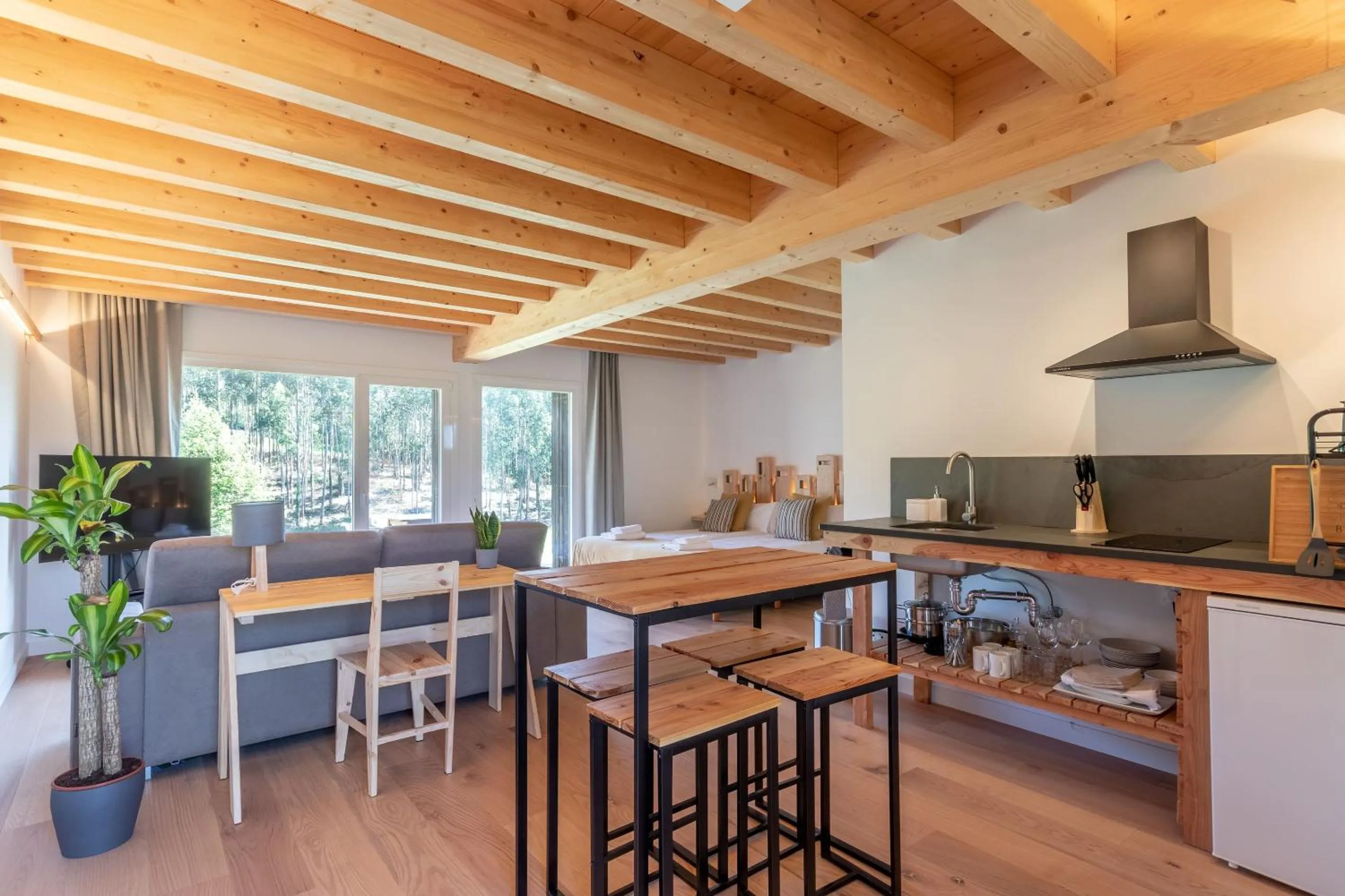 Photo of the whole room in Basoan