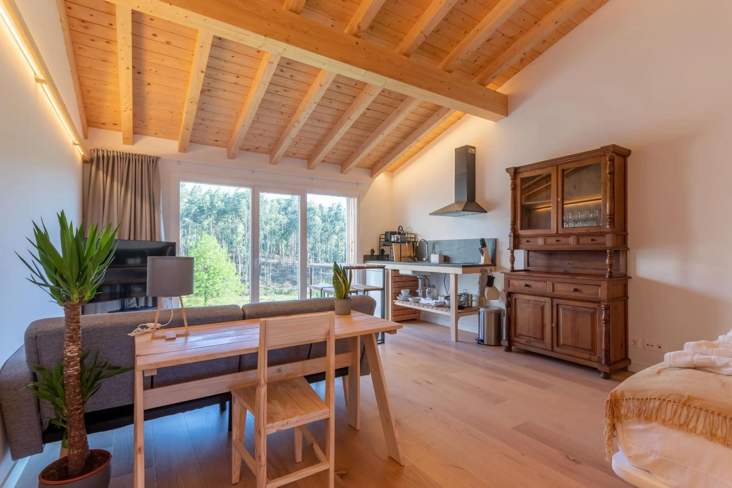 Photo of the whole room in Basoan