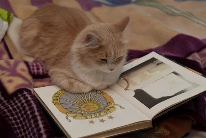 Antica Locanda Il Sole