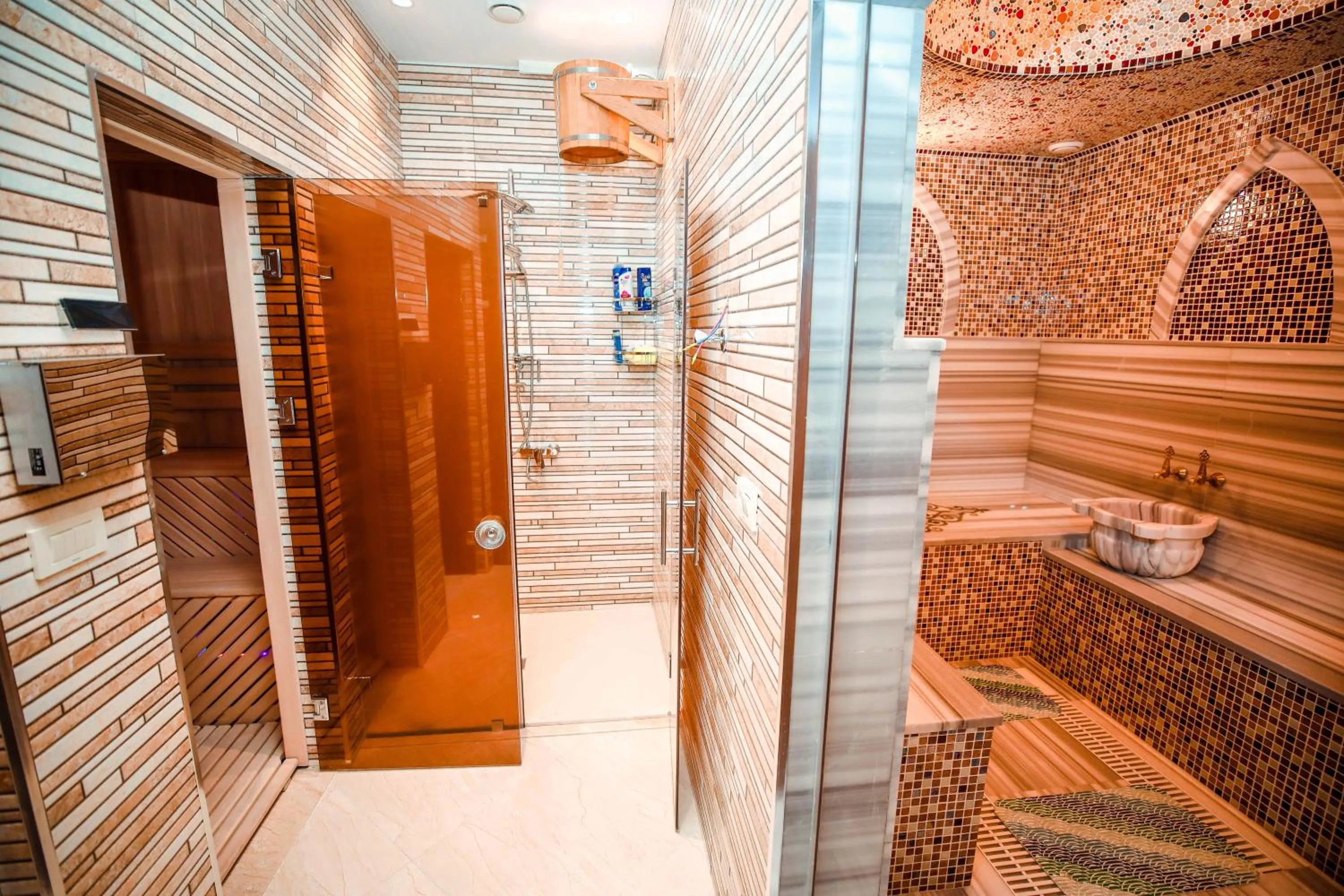 Sauna in Regal Inn Badamdar Hotel