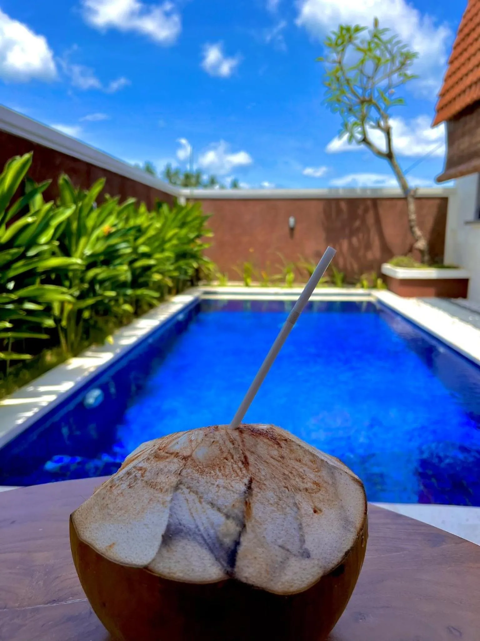 Bhumi Lovina Residence & Villa