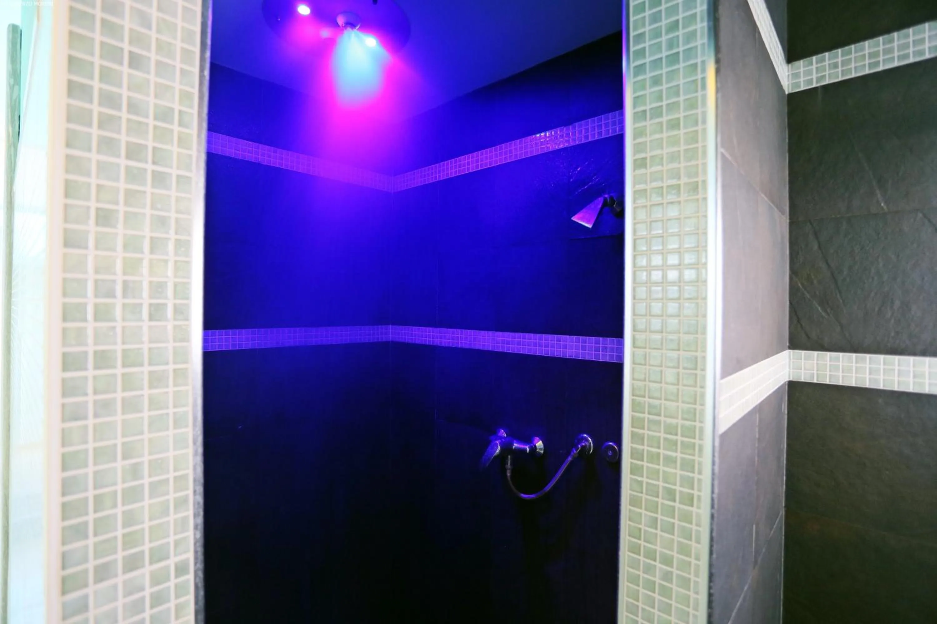 Spa and wellness centre/facilities in Hotel Astoria