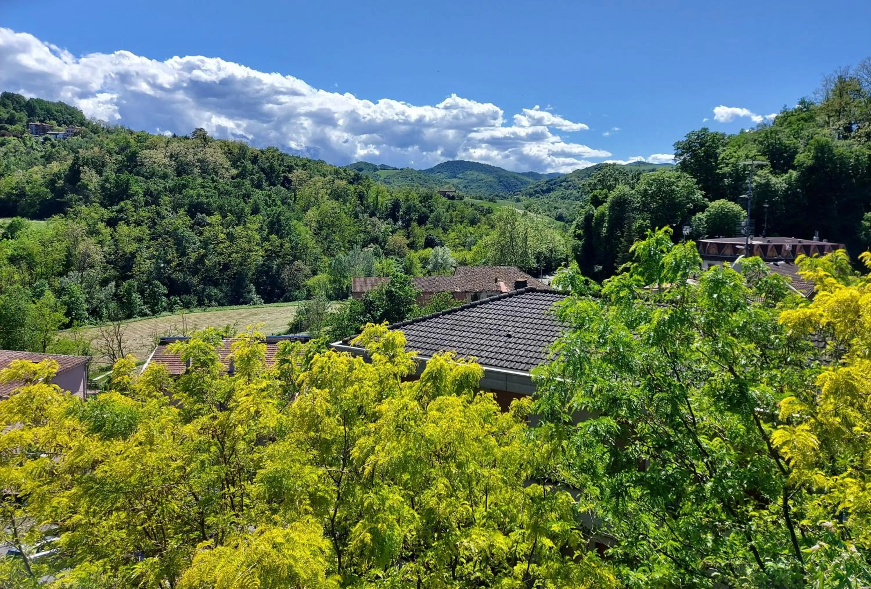 Neighbourhood in Hotel Astoria