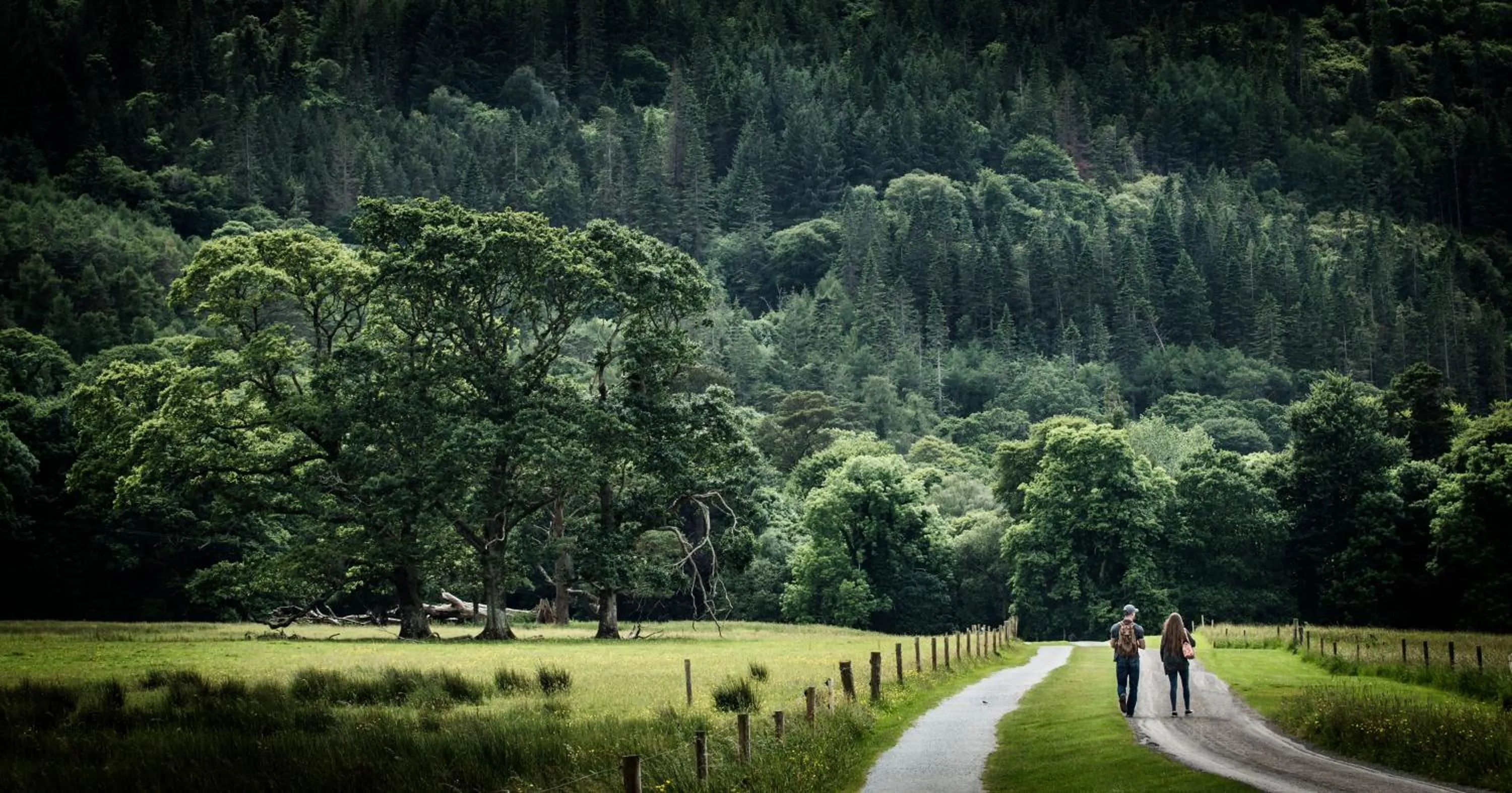 Natural landscape in Killarney Flesk River Apartments