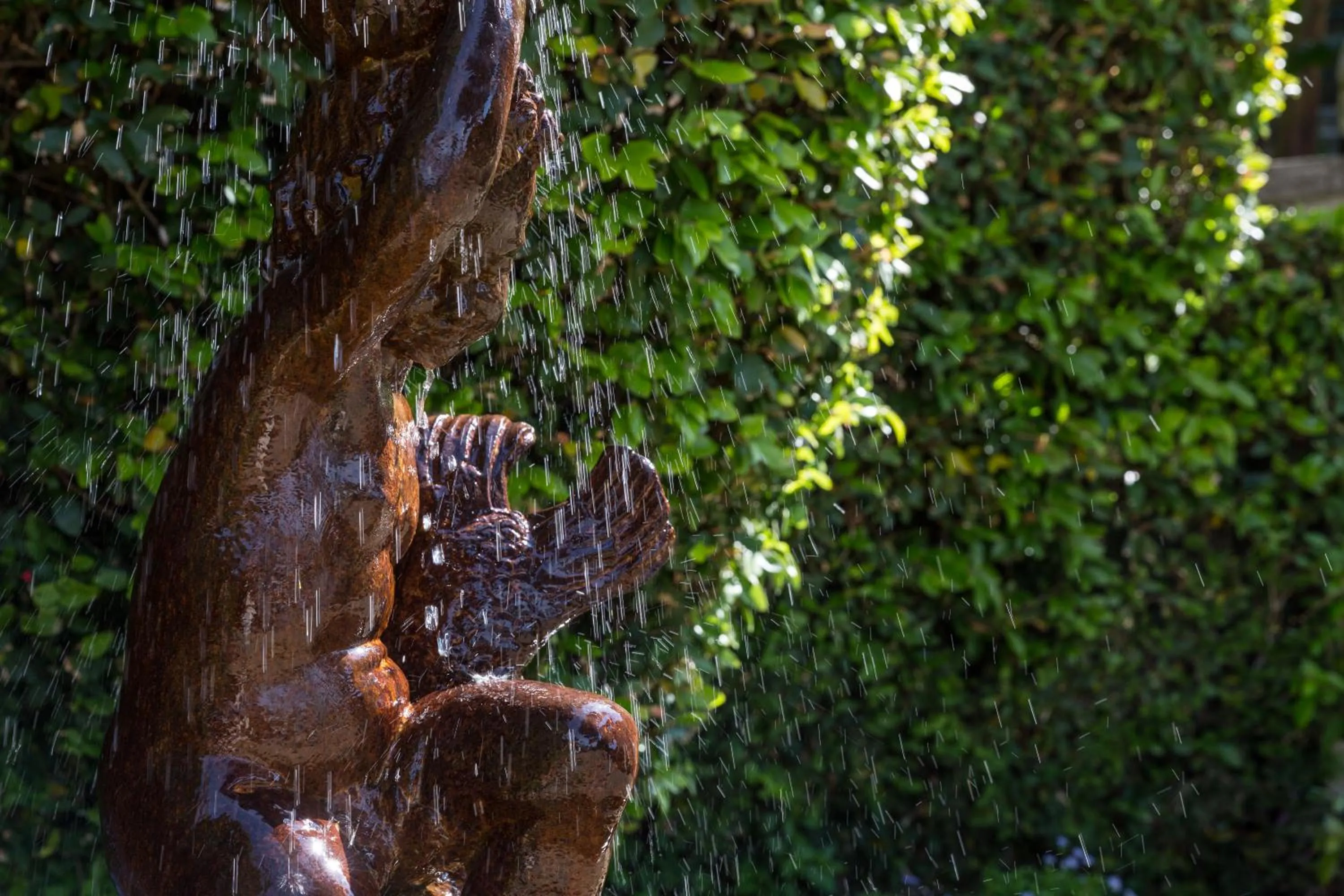 Garden in Imperiale Palace Hotel