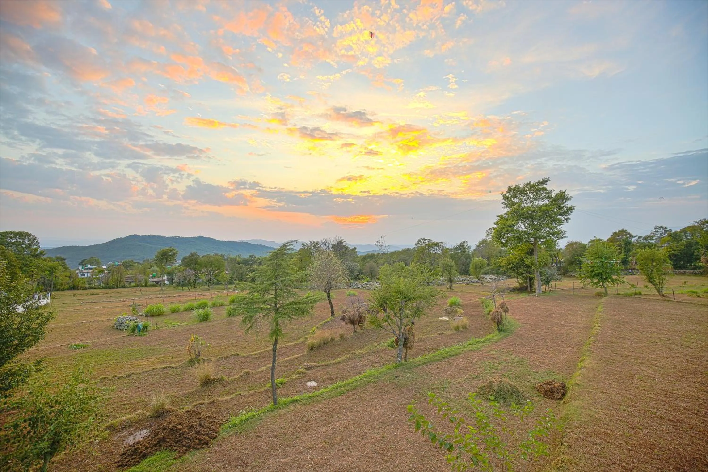 Nearby landmark in The Bunksters Bir