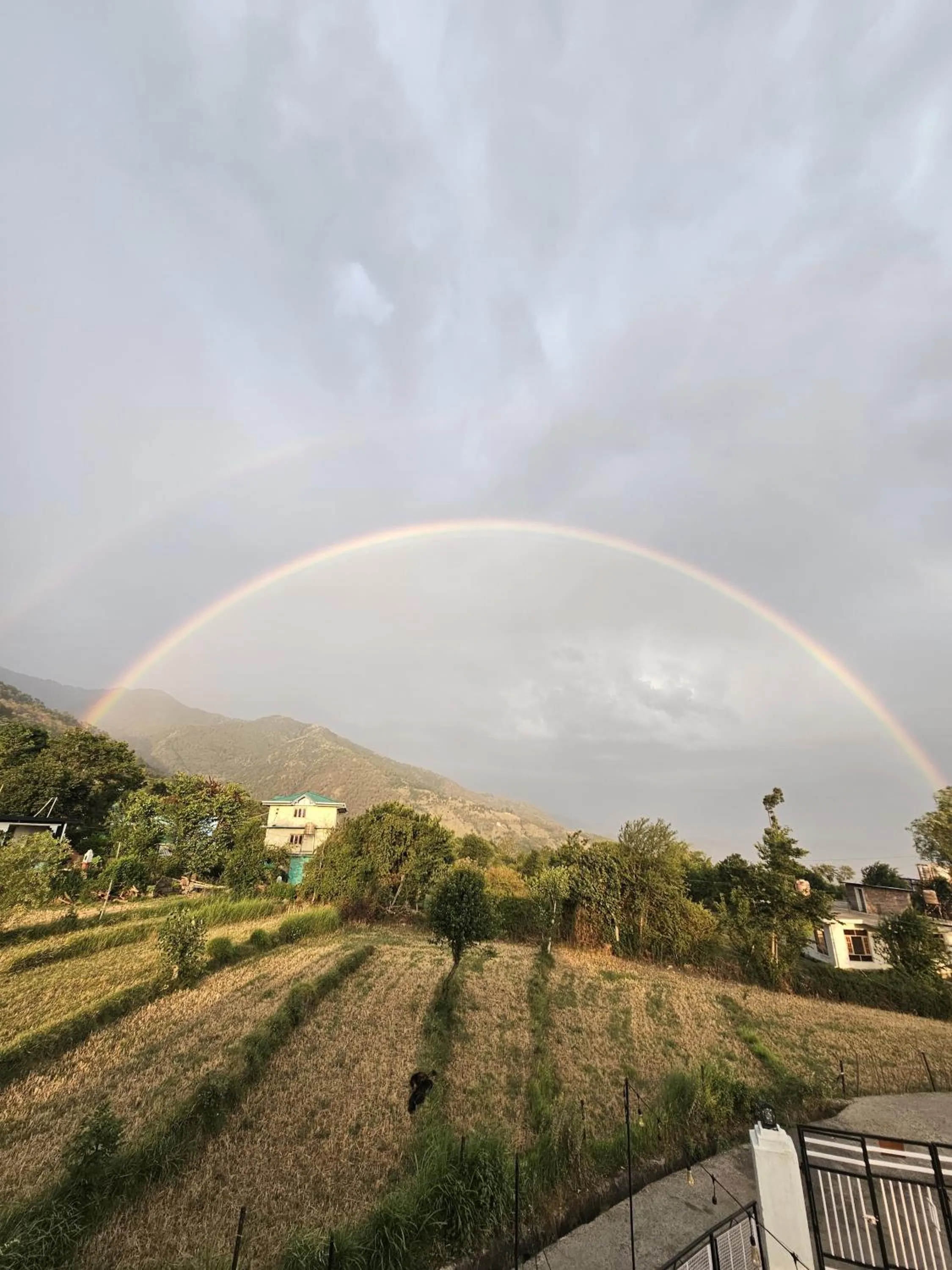 Balcony/Terrace in The Bunksters Bir