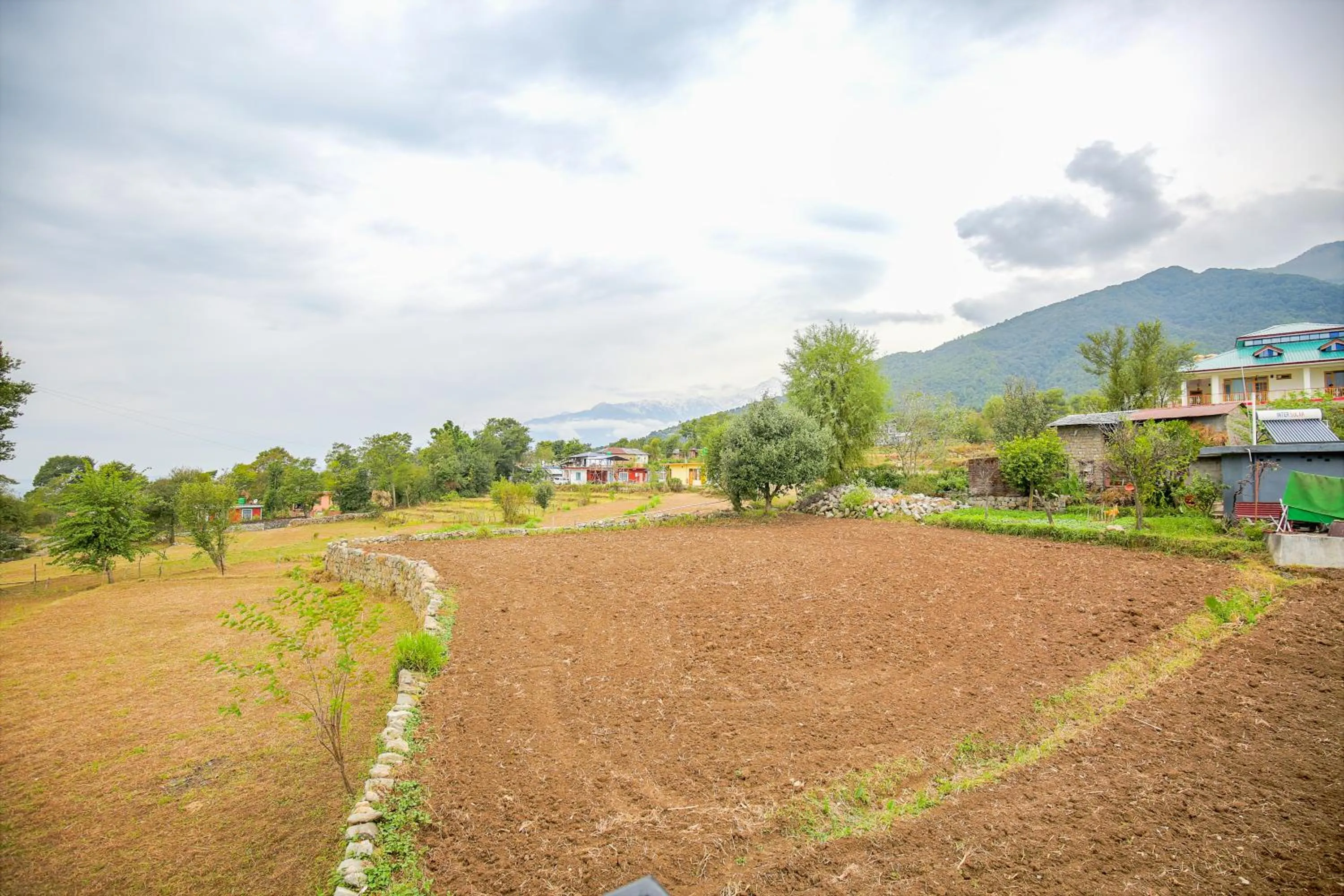 Spring in The Bunksters Bir