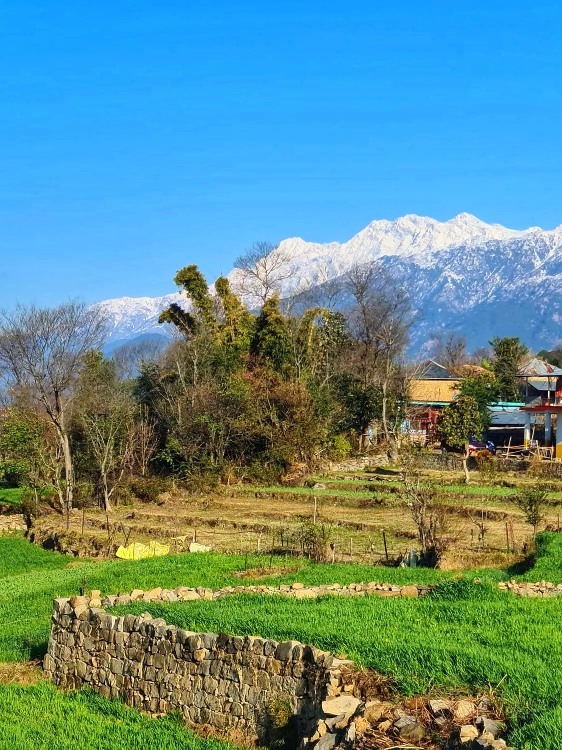 Nearby landmark in The Bunksters Bir
