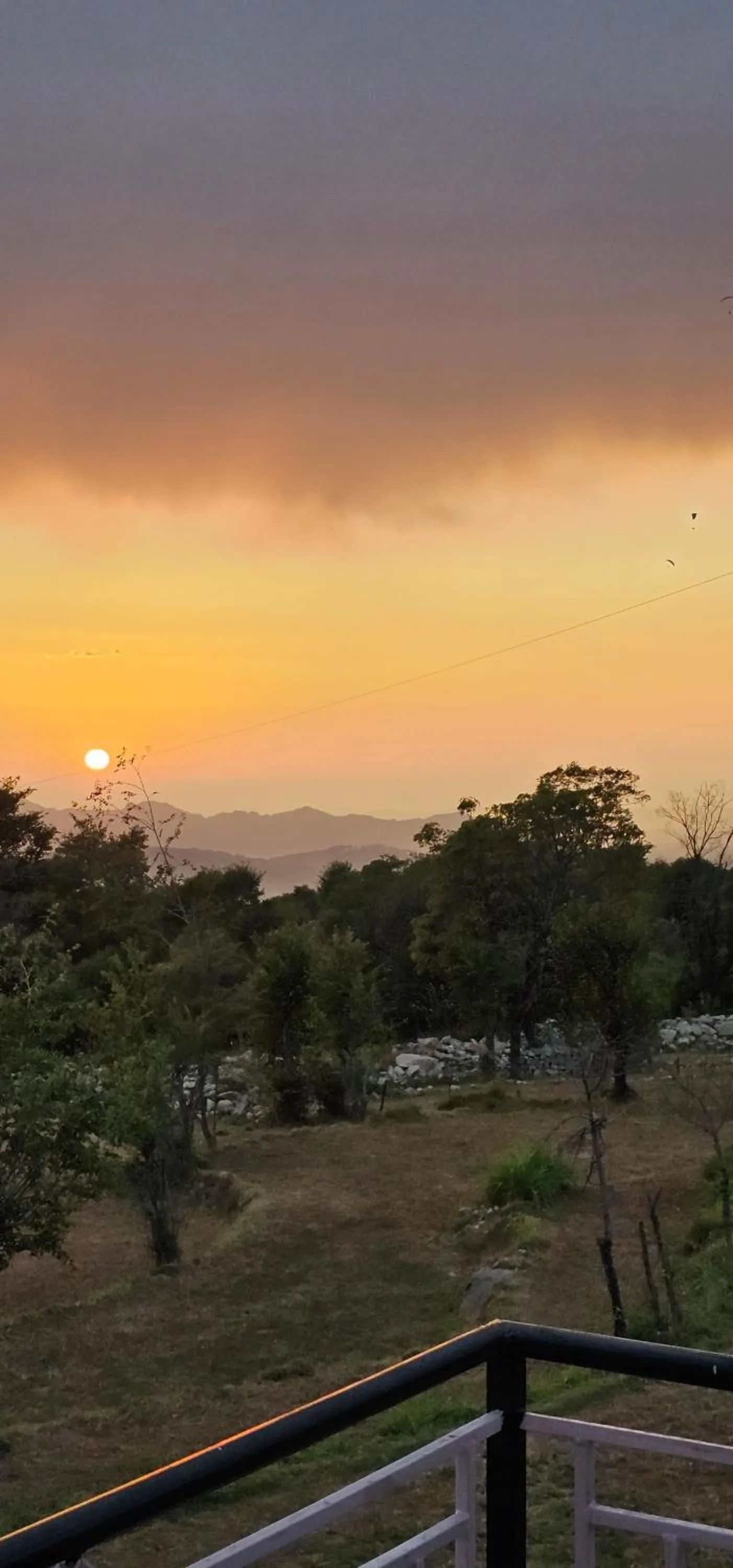 Property building in The Bunksters Bir
