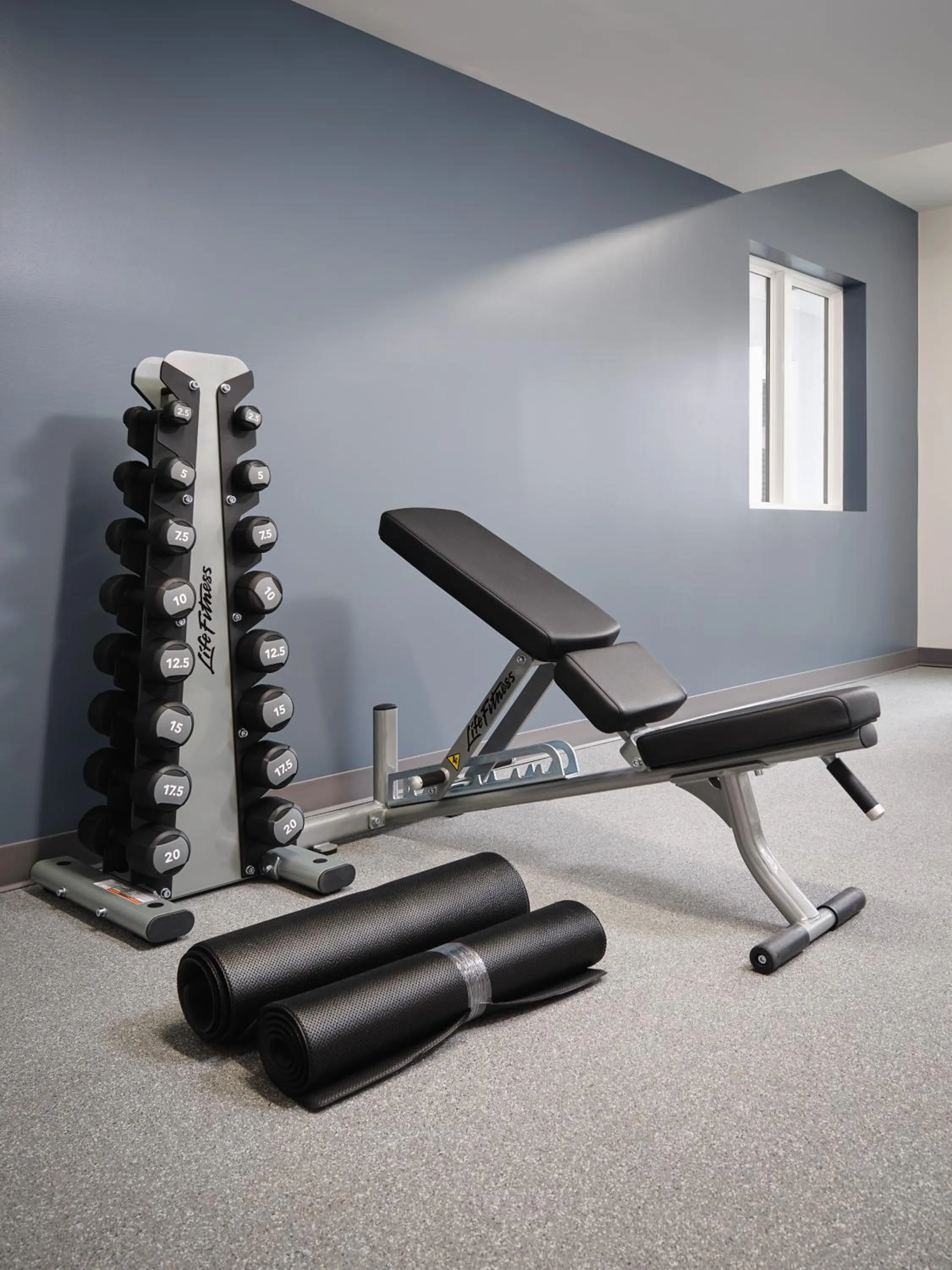 Fitness centre/facilities in stayAPT Suites San Antonio-Lackland