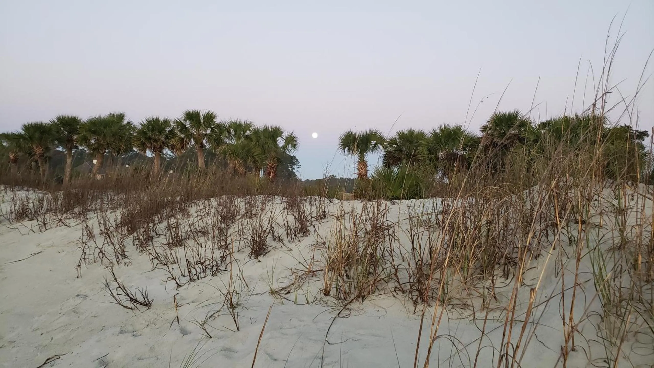 Natural landscape in Gorgeous 2 Bedroom Condo