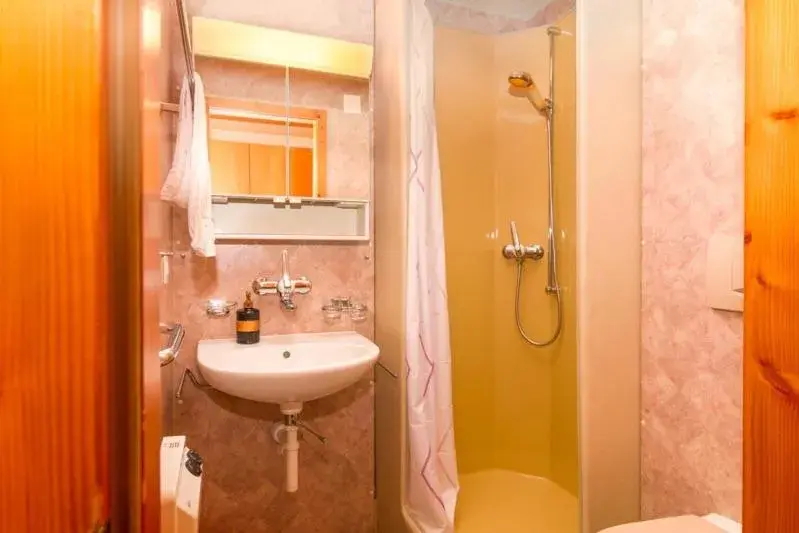 Single Room with Shower in Hotel Swiss Views Single Room with Shower in Hotel Swiss Views
