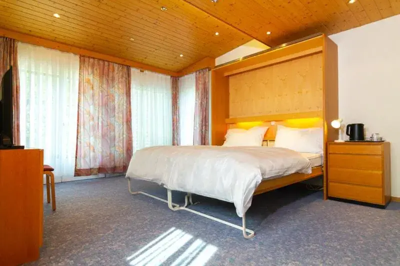 Deluxe Double Room with Shower in Hotel Swiss Views Deluxe Double Room with Shower in Hotel Swiss Views
