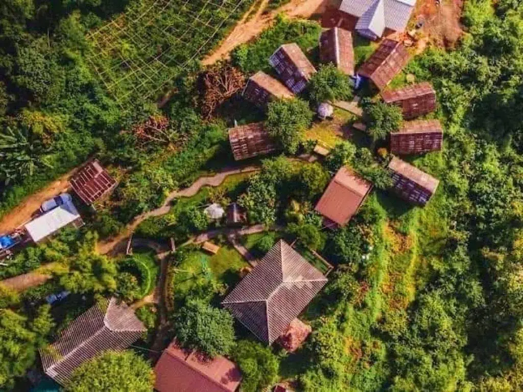 3 Pok Maewang jinxiang Gold elephant park 3 Pok Maewang jinxiang Gold elephant park