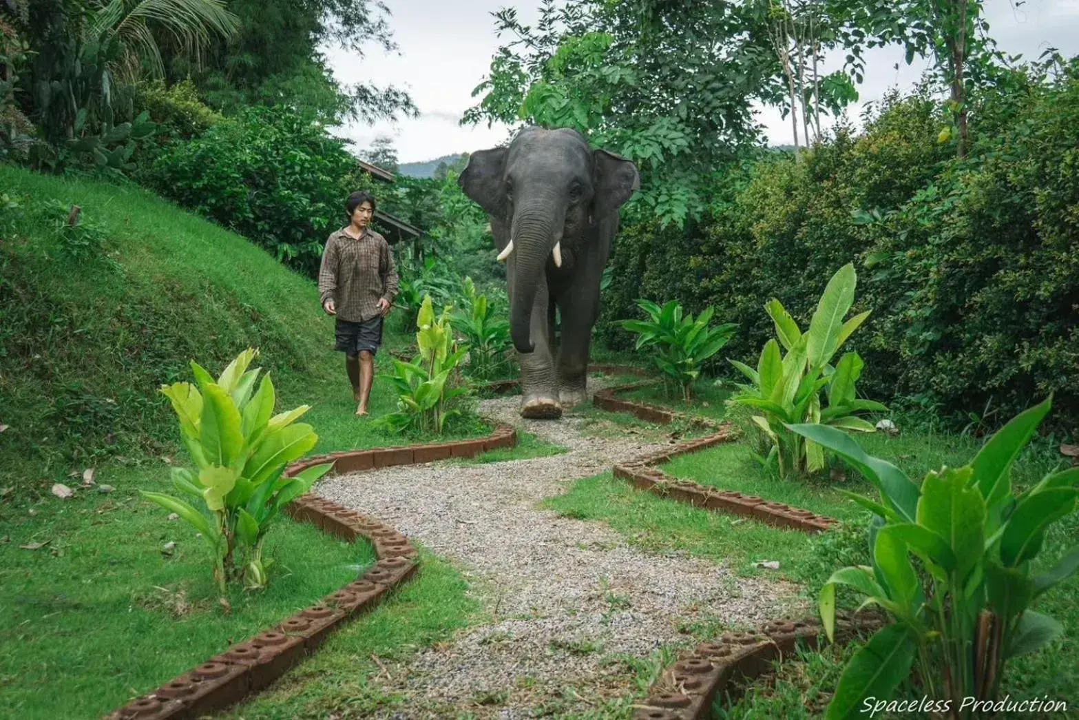 3 Pok Maewang jinxiang Gold elephant park 3 Pok Maewang jinxiang Gold elephant park