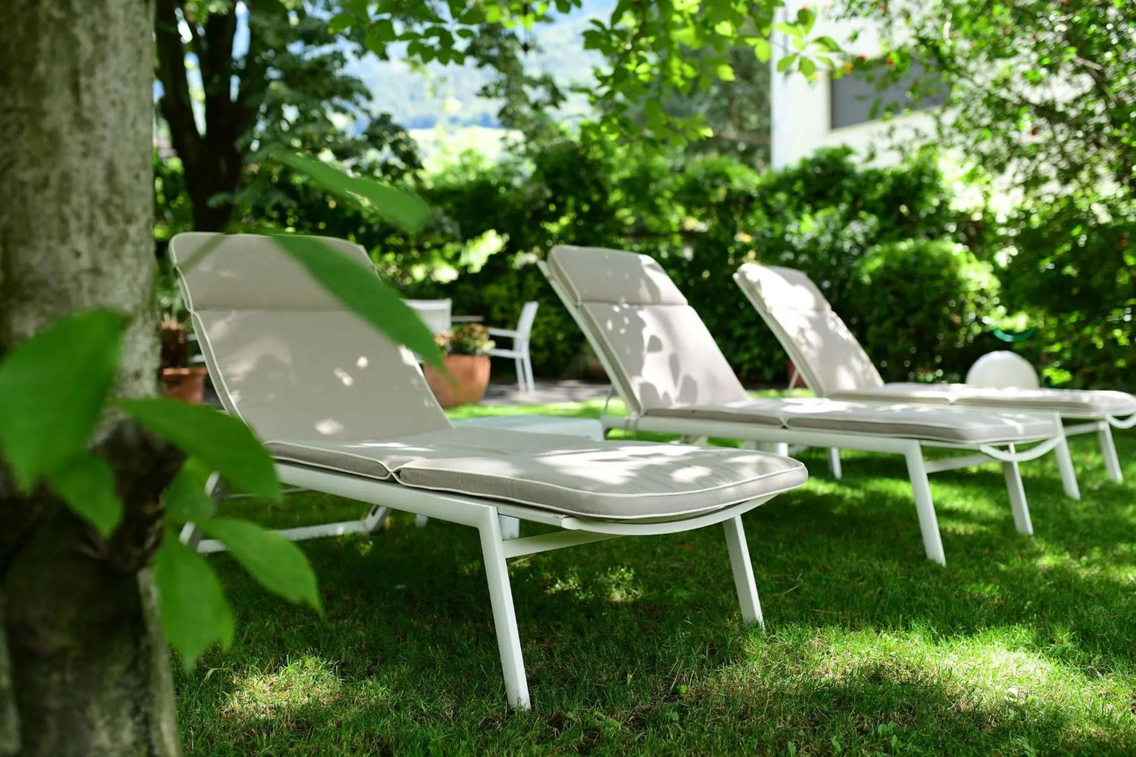 Garden in Hotel Juliane