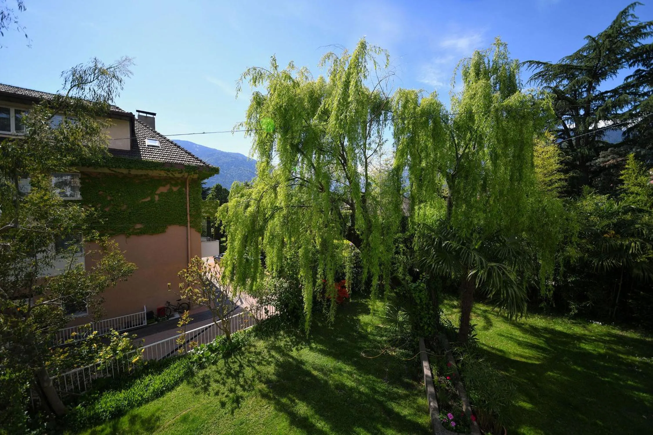 Garden view in Hotel Juliane