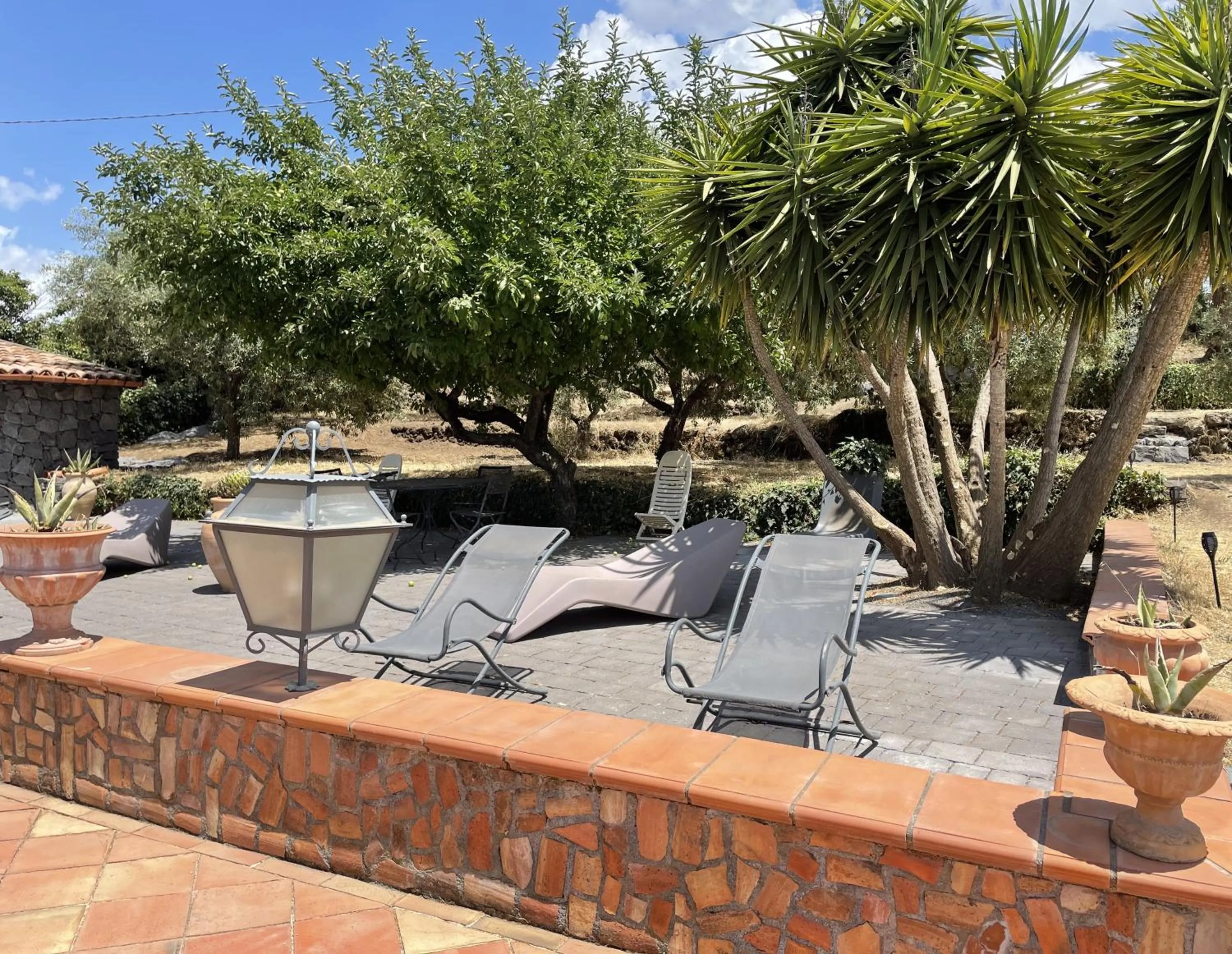 Garden in Villa VEDA