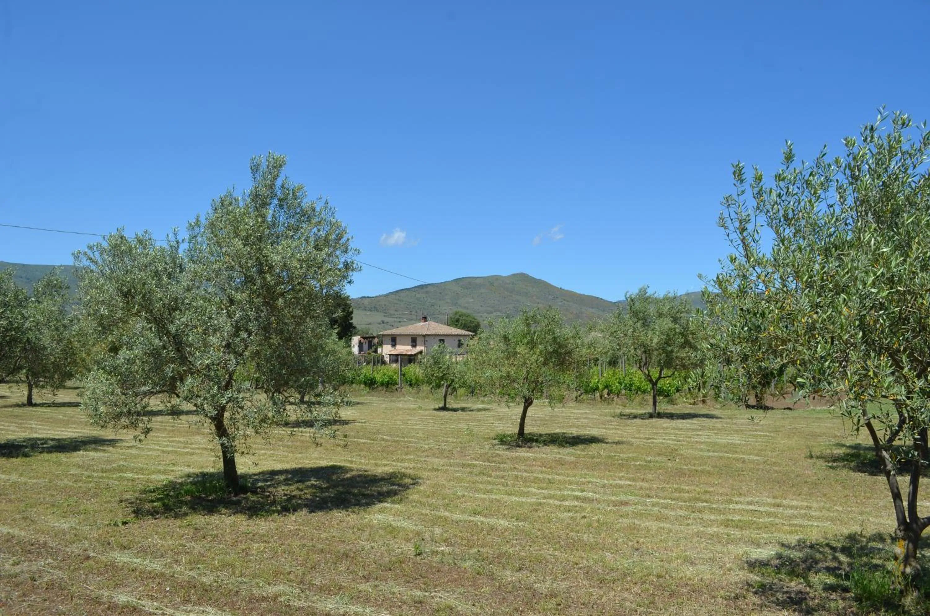 Natural landscape in Villa VEDA