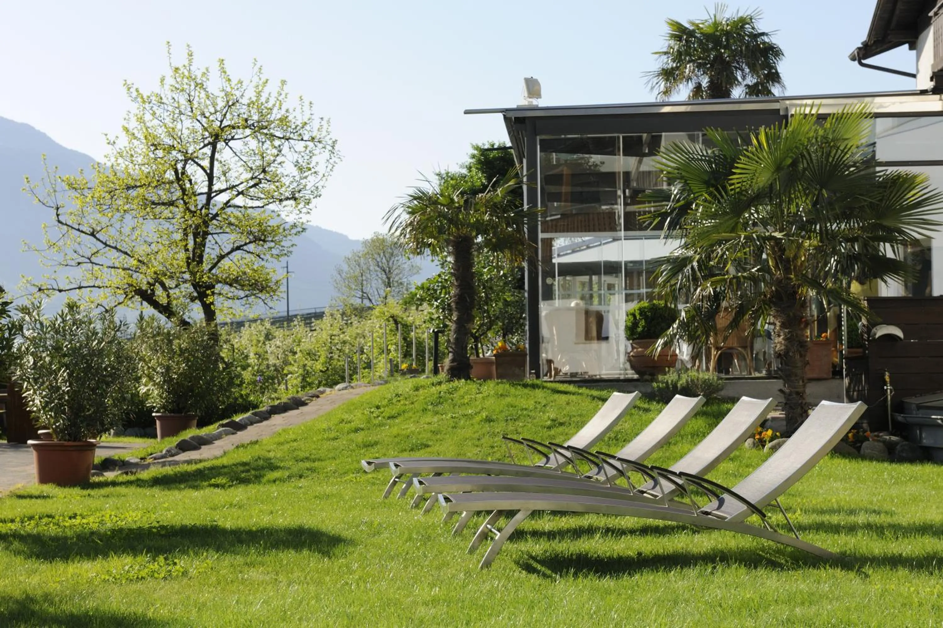 sunbed in Bio & Wellnesshotel Pazeider - Healing Garden above Meran