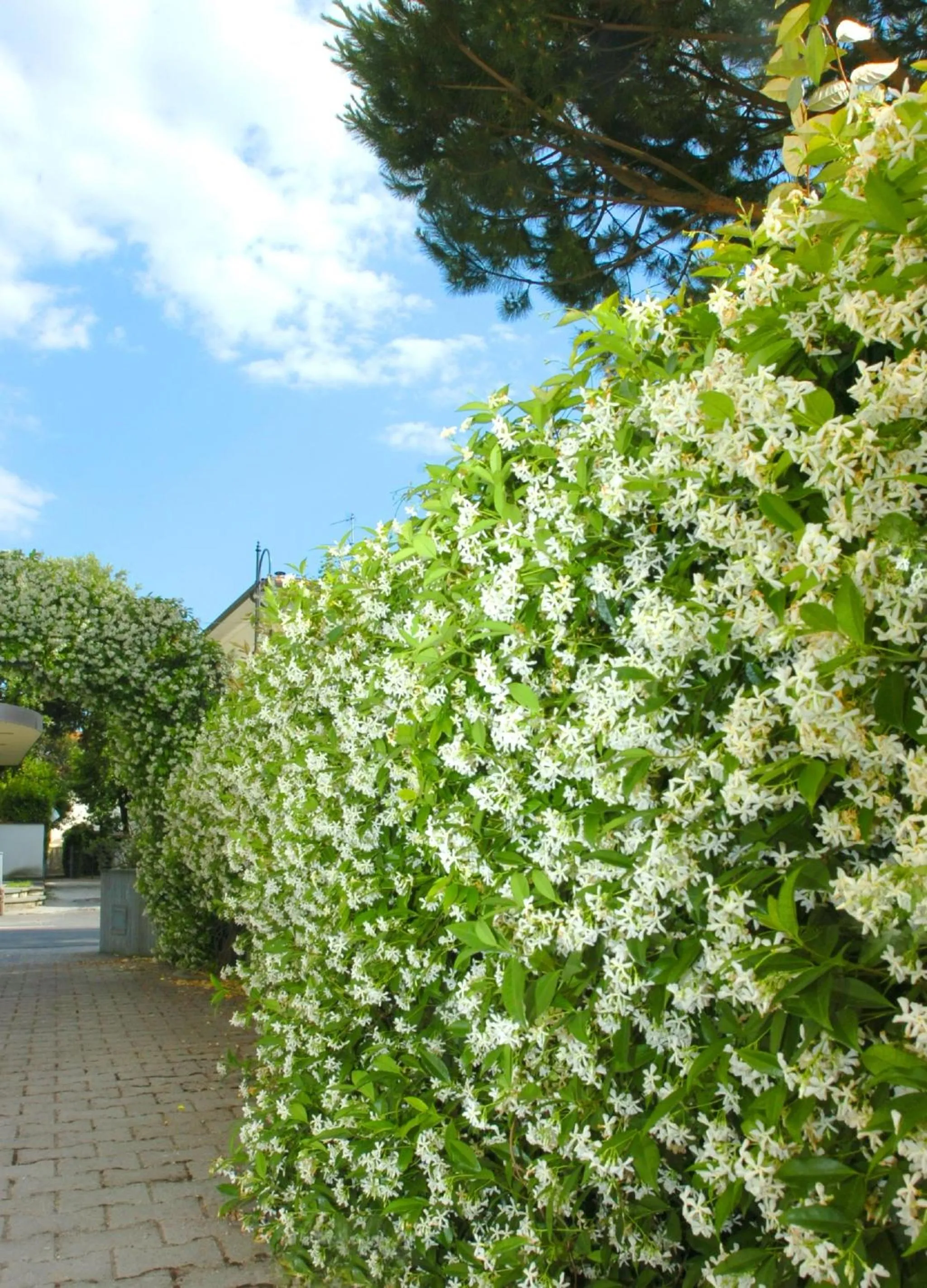 Day in Riviera Residence