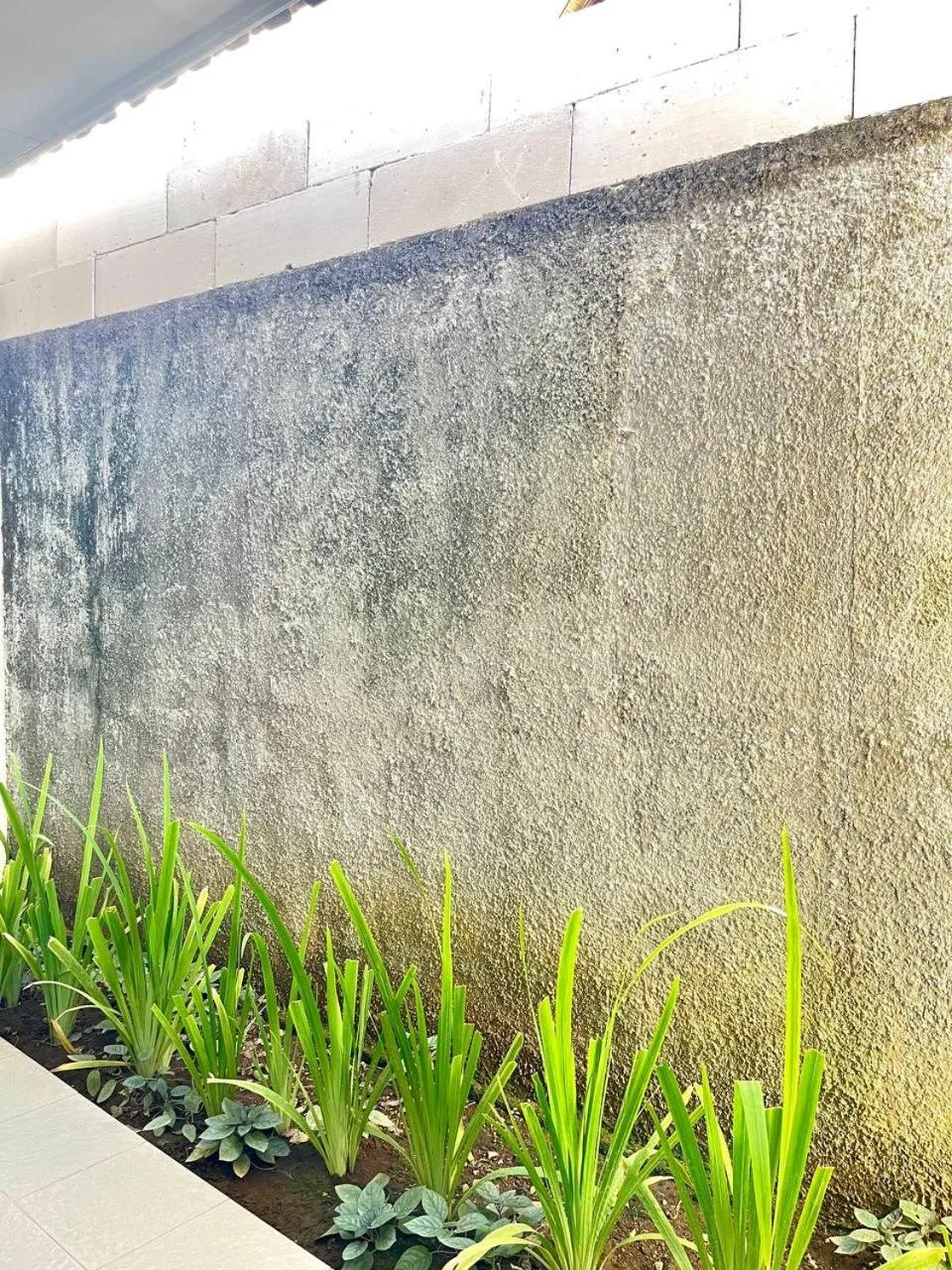 Pererenan nengah guest house canggu