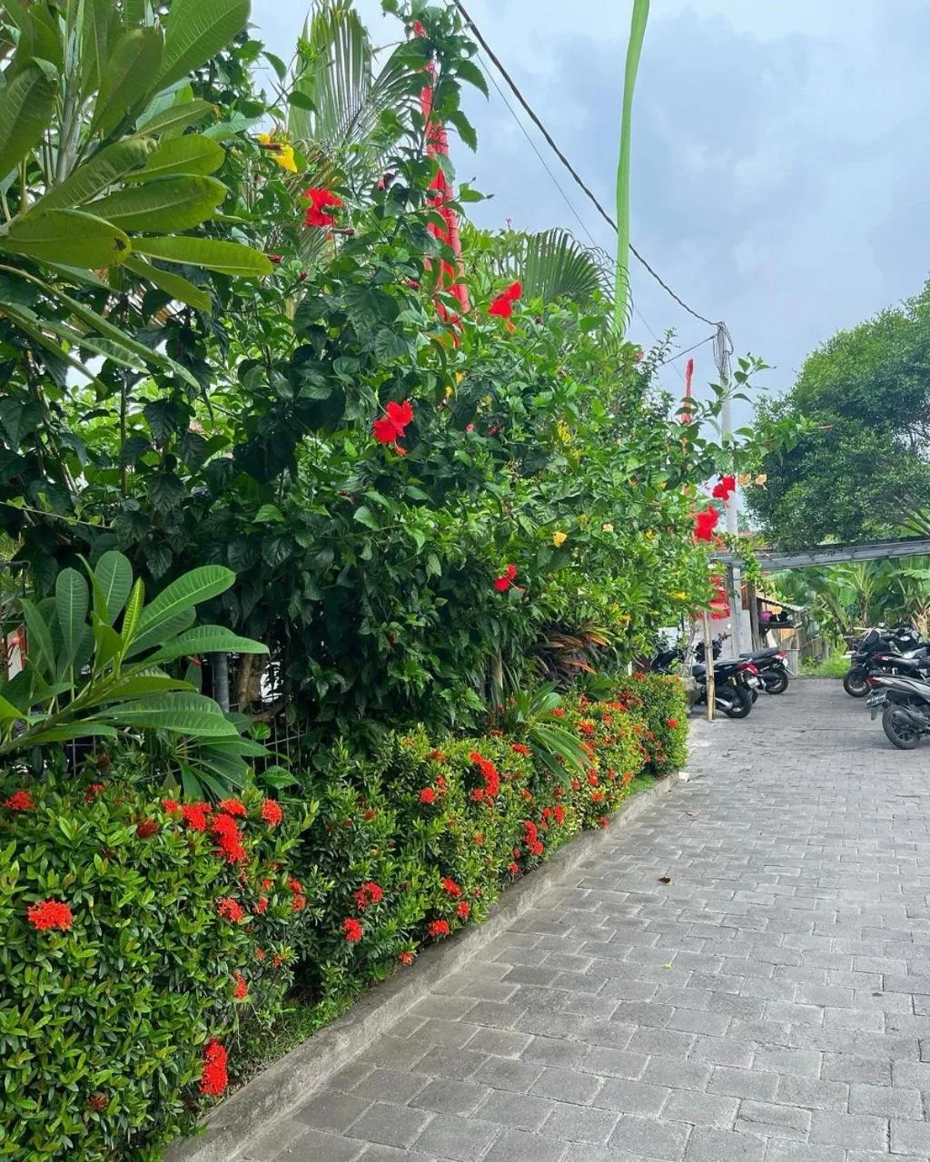 Pererenan nengah guest house canggu