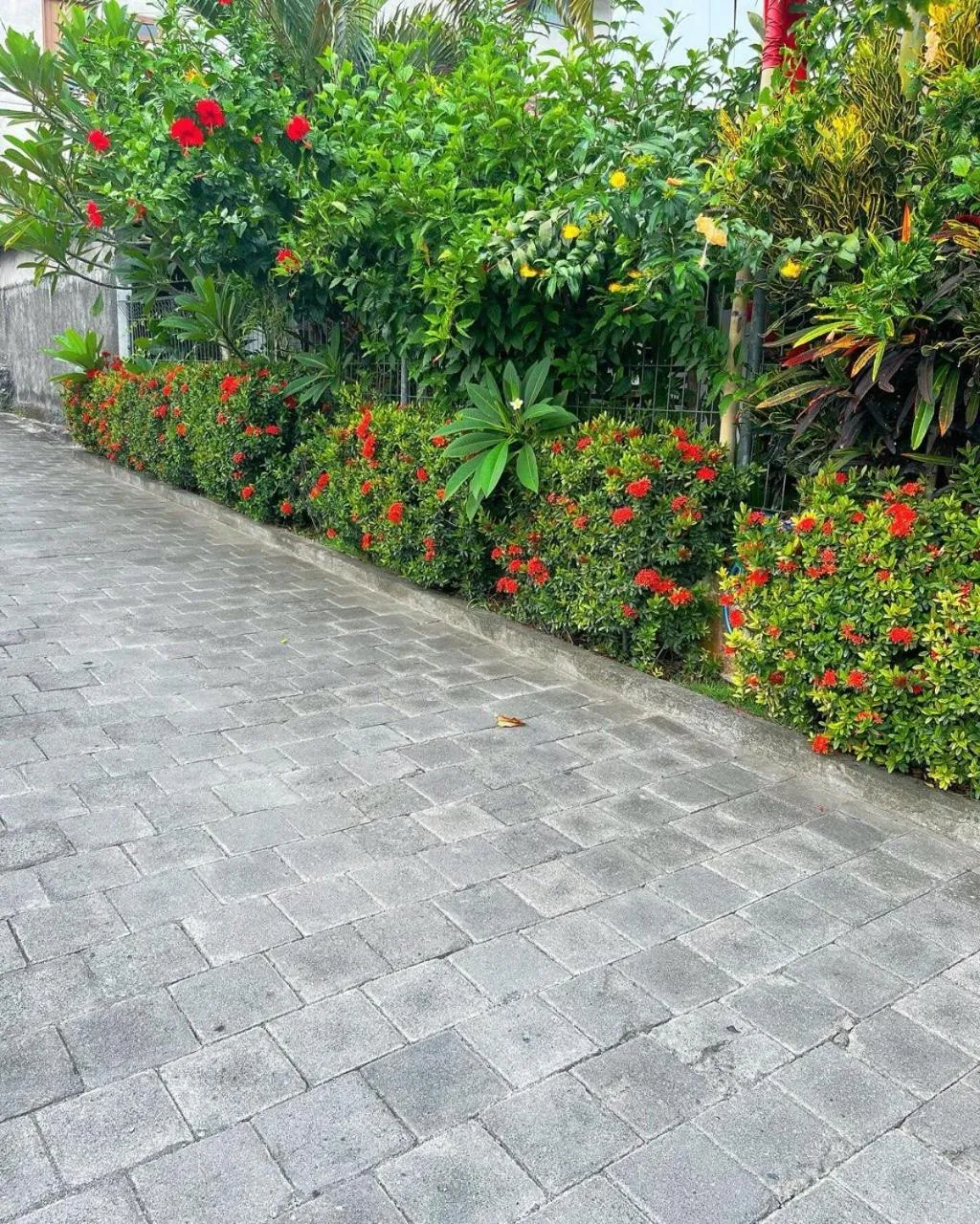 Pererenan nengah guest house canggu