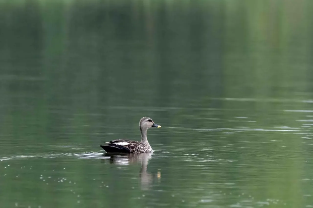 Lake view in The Alampara Resort - Luxury Boutique Glamping & Water sports