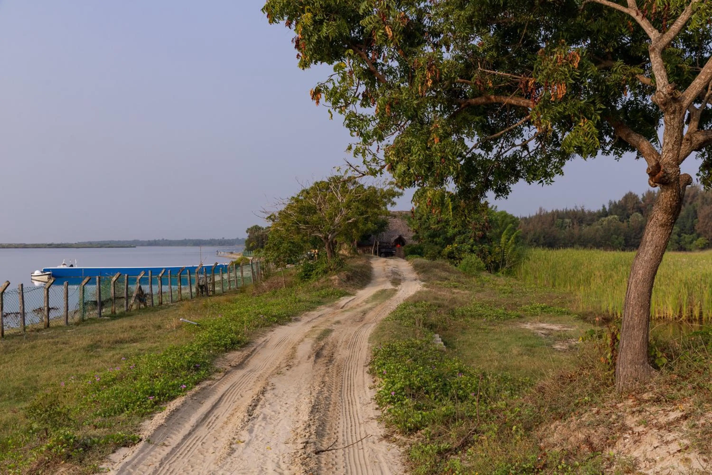 Natural landscape in The Alampara Resort - Luxury Boutique Glamping & Water sports
