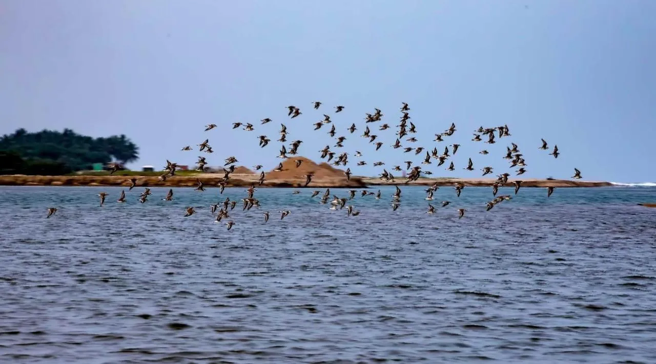 Natural landscape in The Alampara Resort - Luxury Boutique Glamping & Water sports