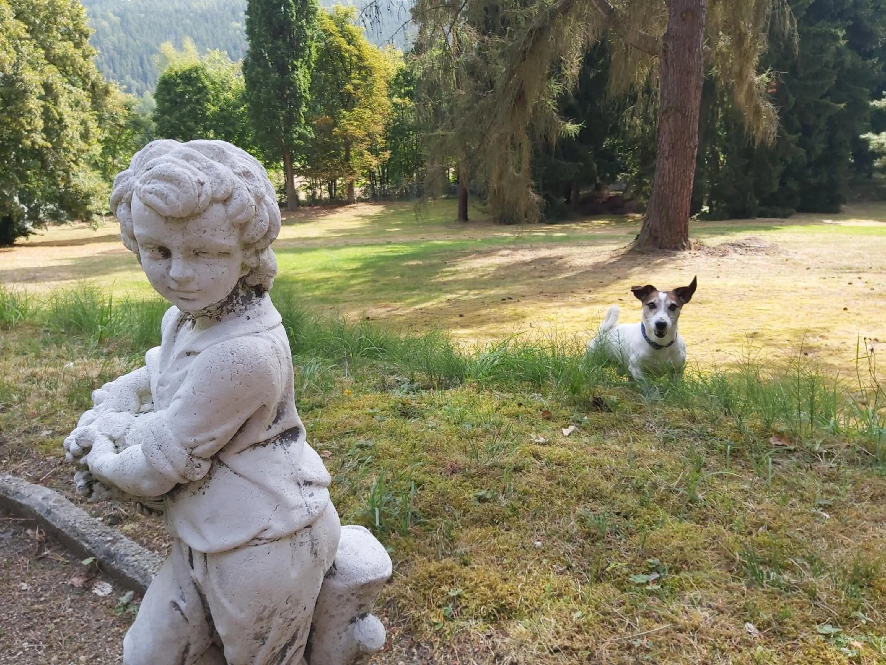 Garden in Hotel U Zámečku Cihelny