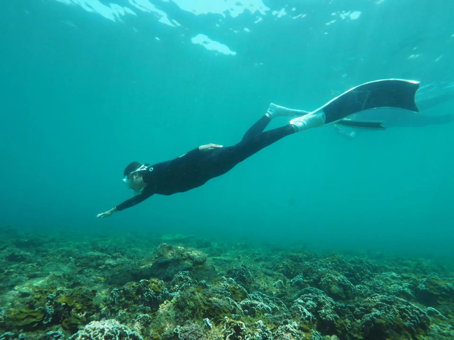 Snorkeling in Horizon Côn Đảo Hotel