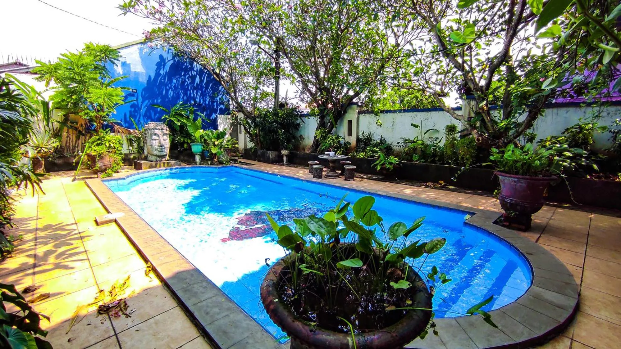 Swimming pool in Namora Residence